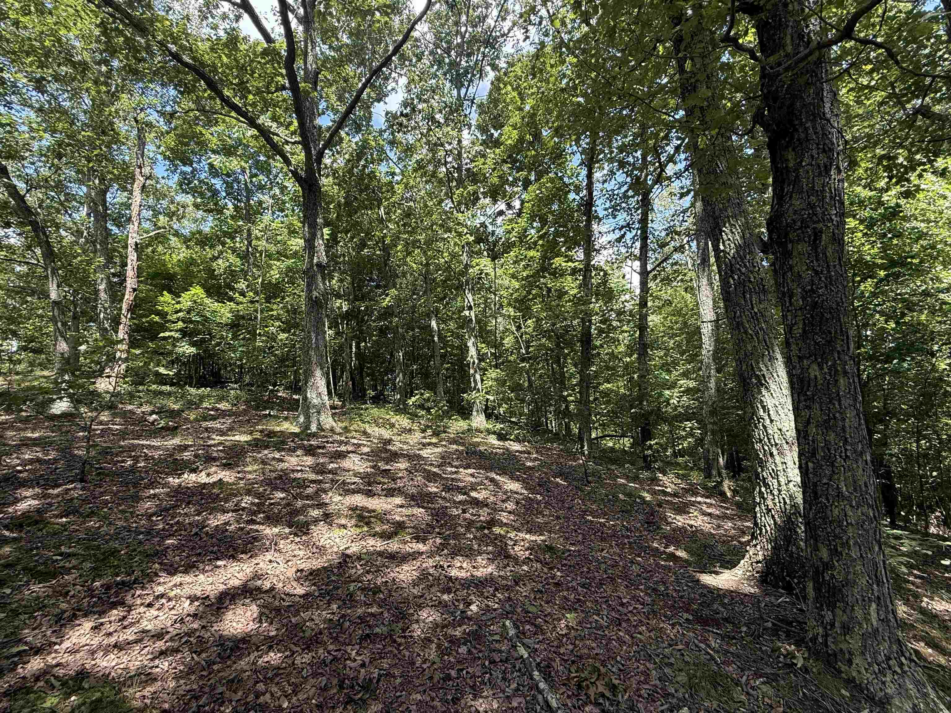 000 Herndon Cemetery Rd Property Photo 11