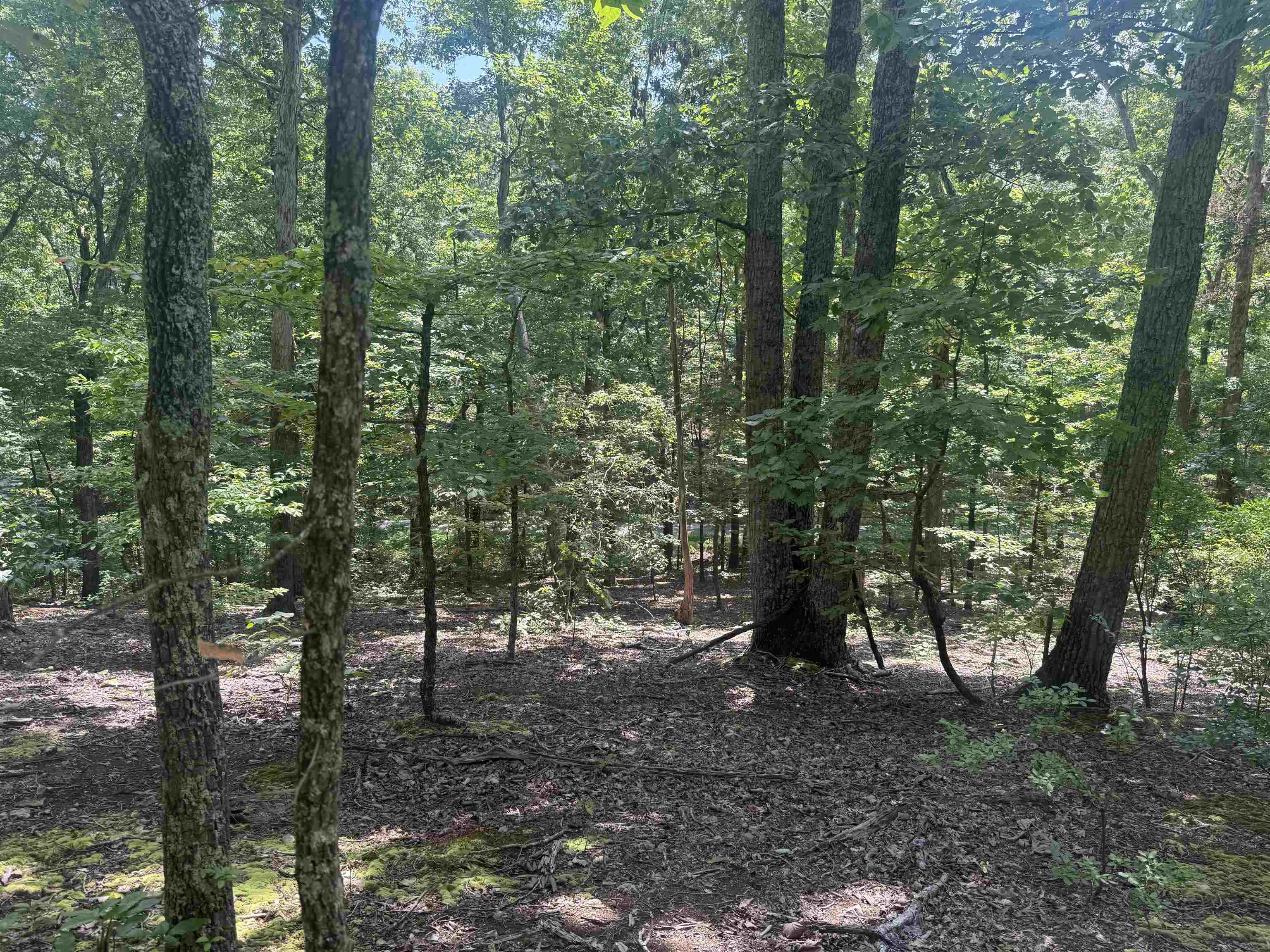 000 Herndon Cemetery Rd Property Photo 12