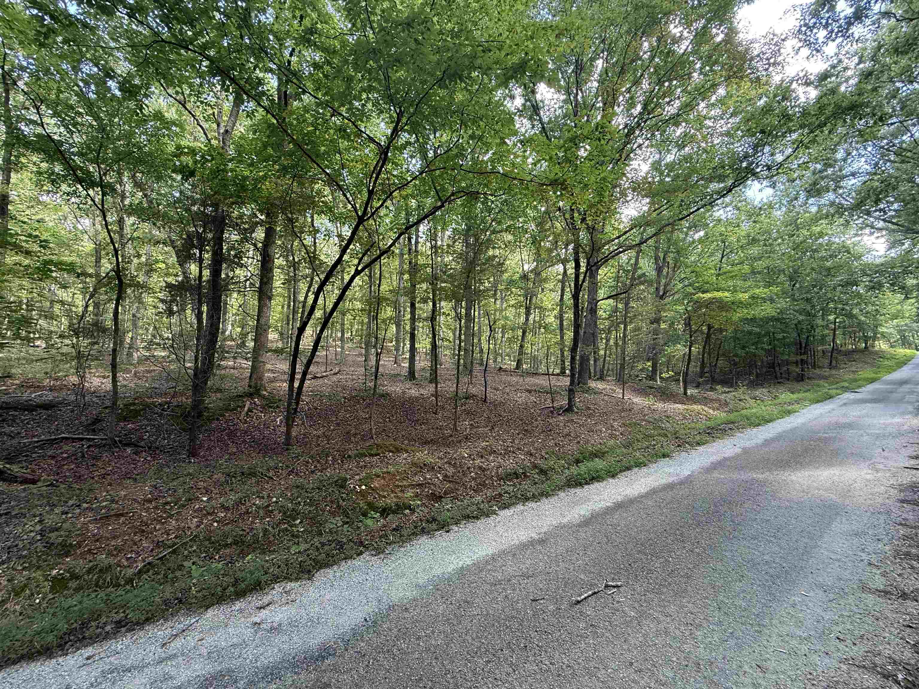 000 Herndon Cemetery Rd Property Photo 13