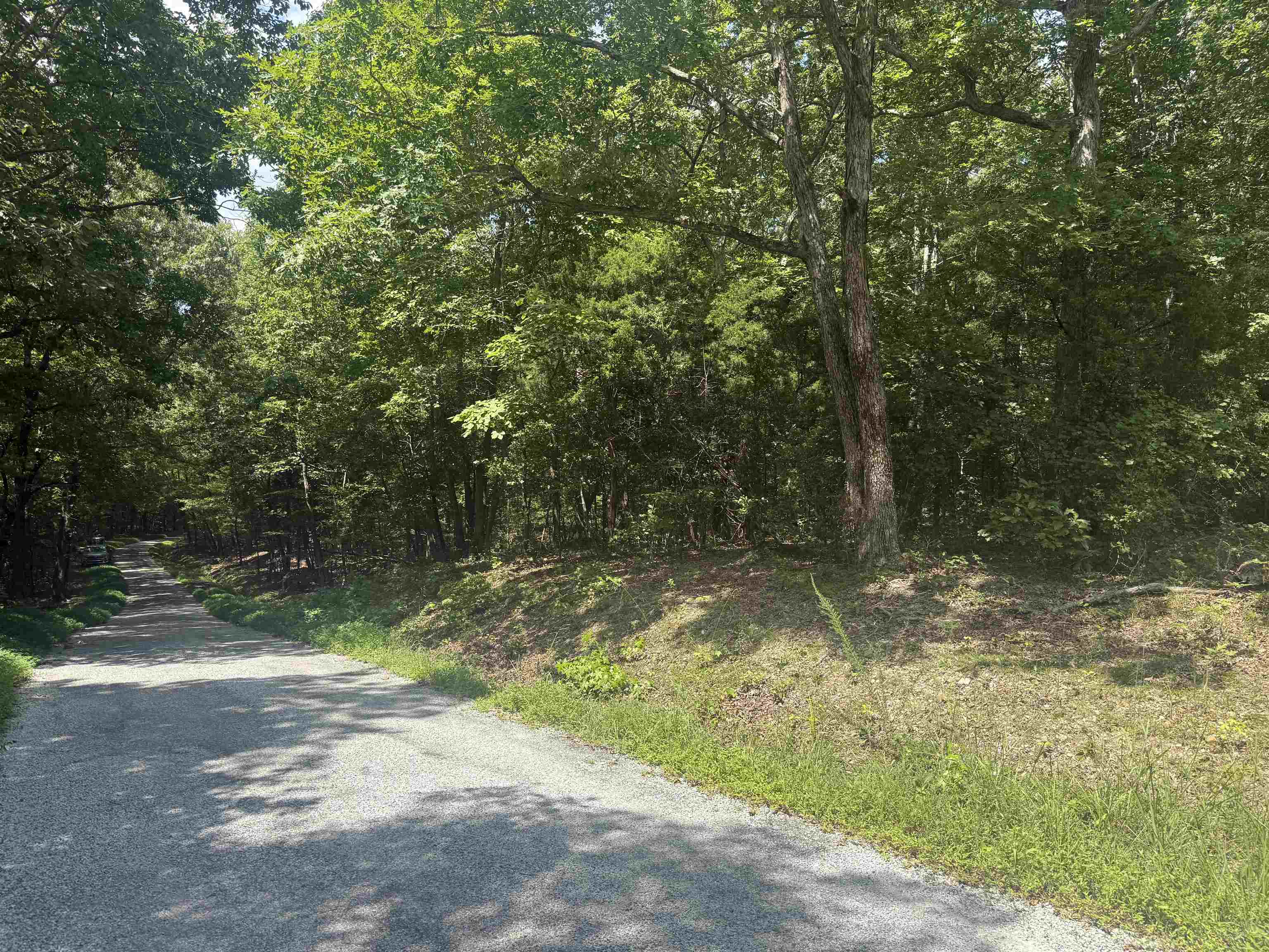 000 Herndon Cemetery Rd Property Photo 15