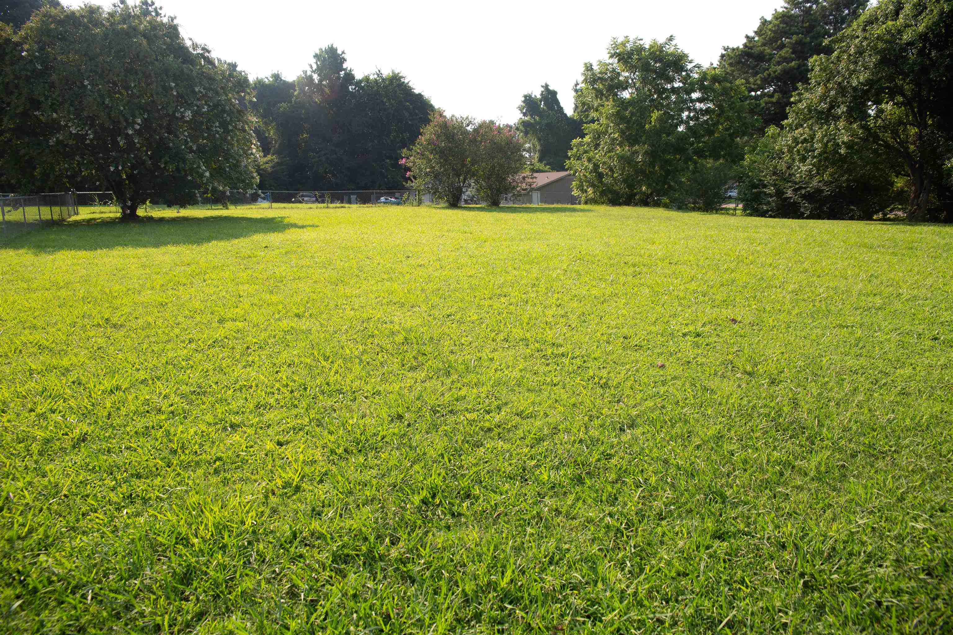 597 Walton Loop Property Photo 2