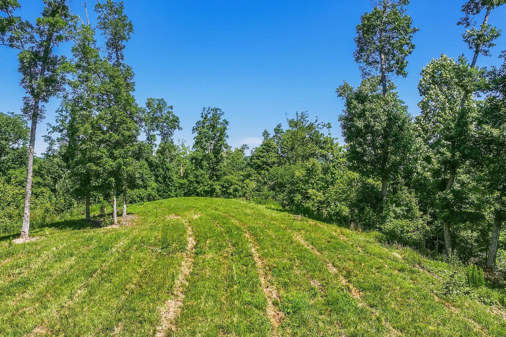508 Lakeside Dr Property Photo 18