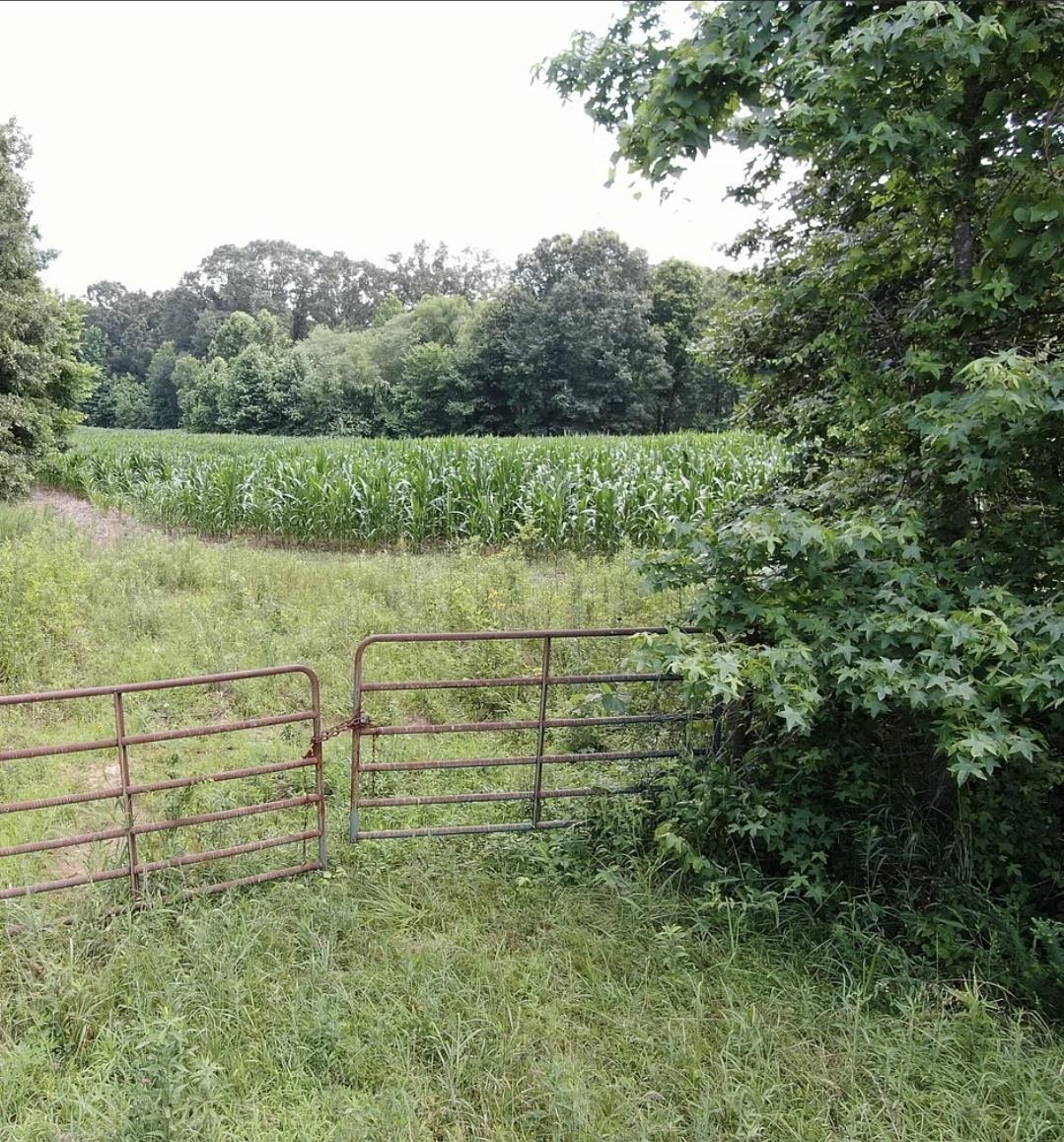 0 Dorse Rd Property Photo 3