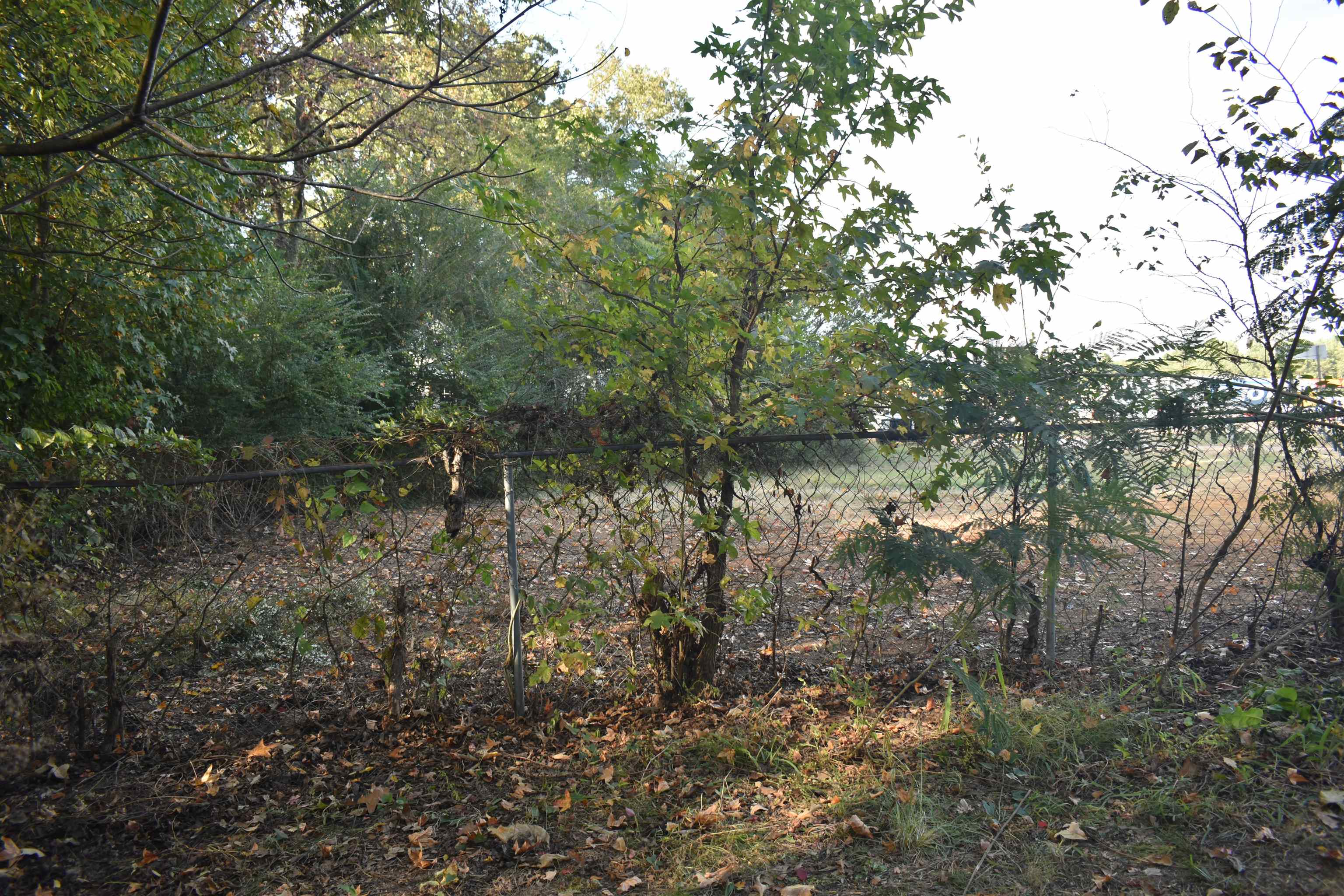 6927 45 Hwy Property Photo 9