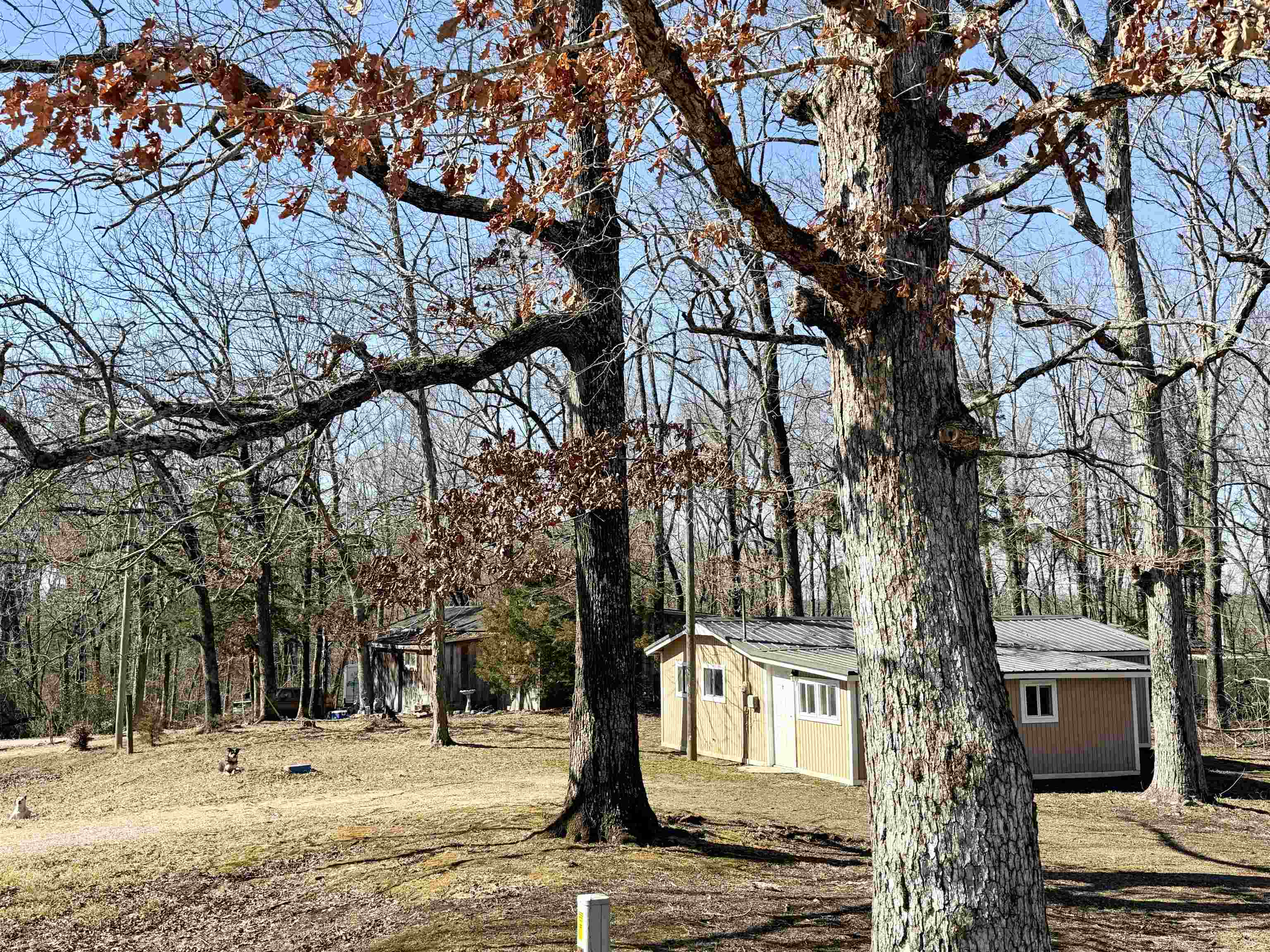 345 Shad Ln Property Photo 16