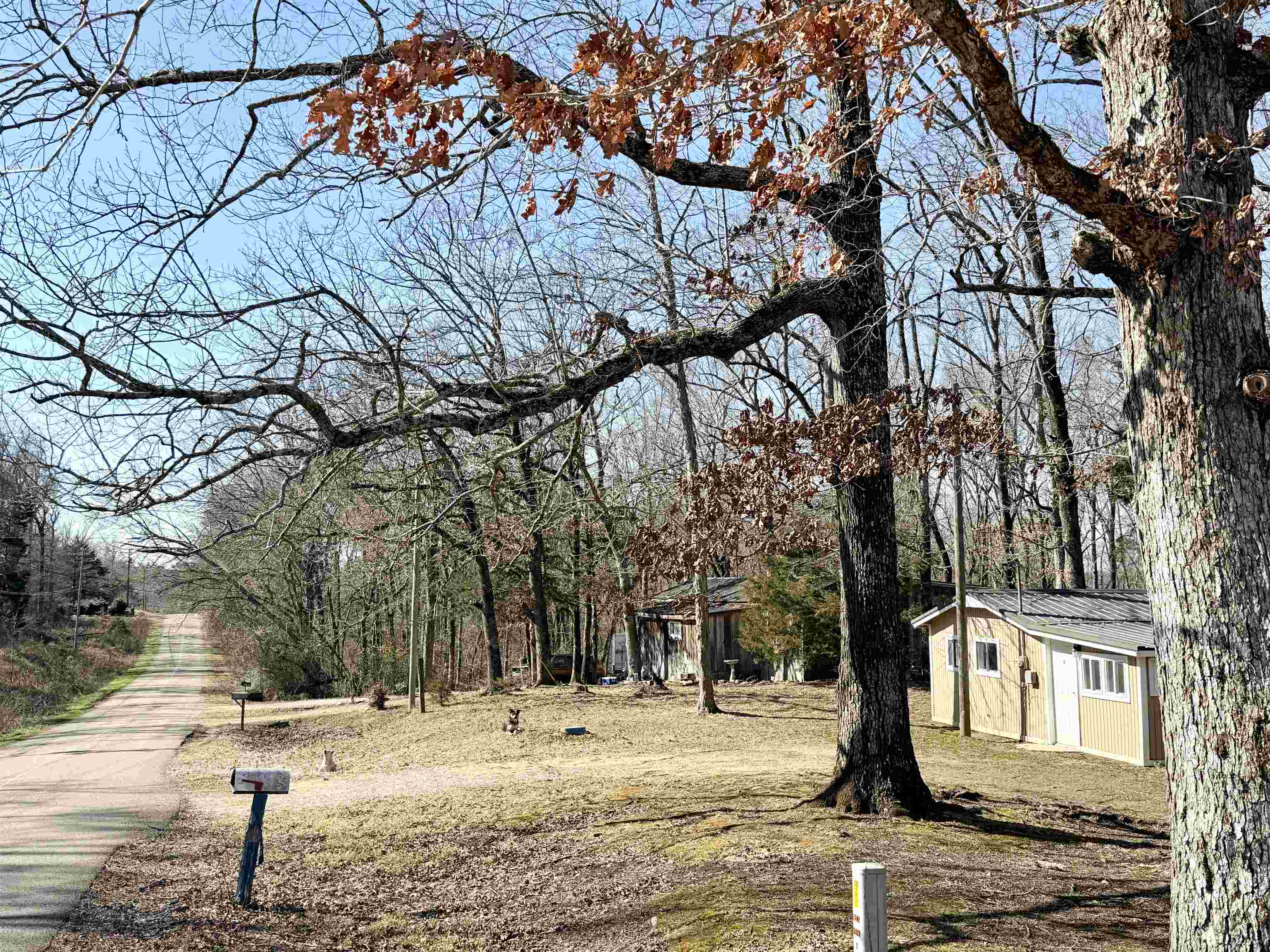 345 Shad Ln Property Photo 17