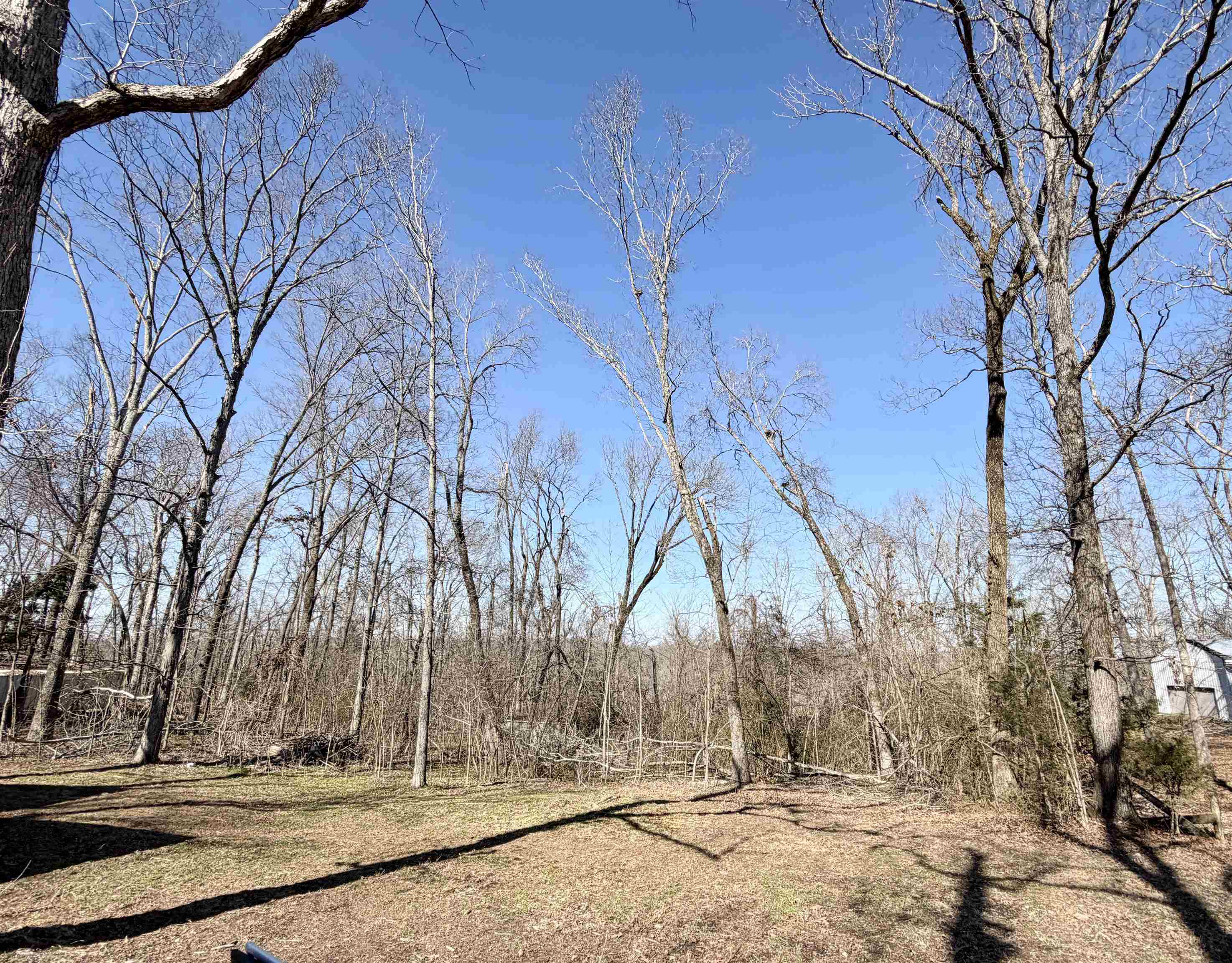 345 Shad Ln Property Photo 18