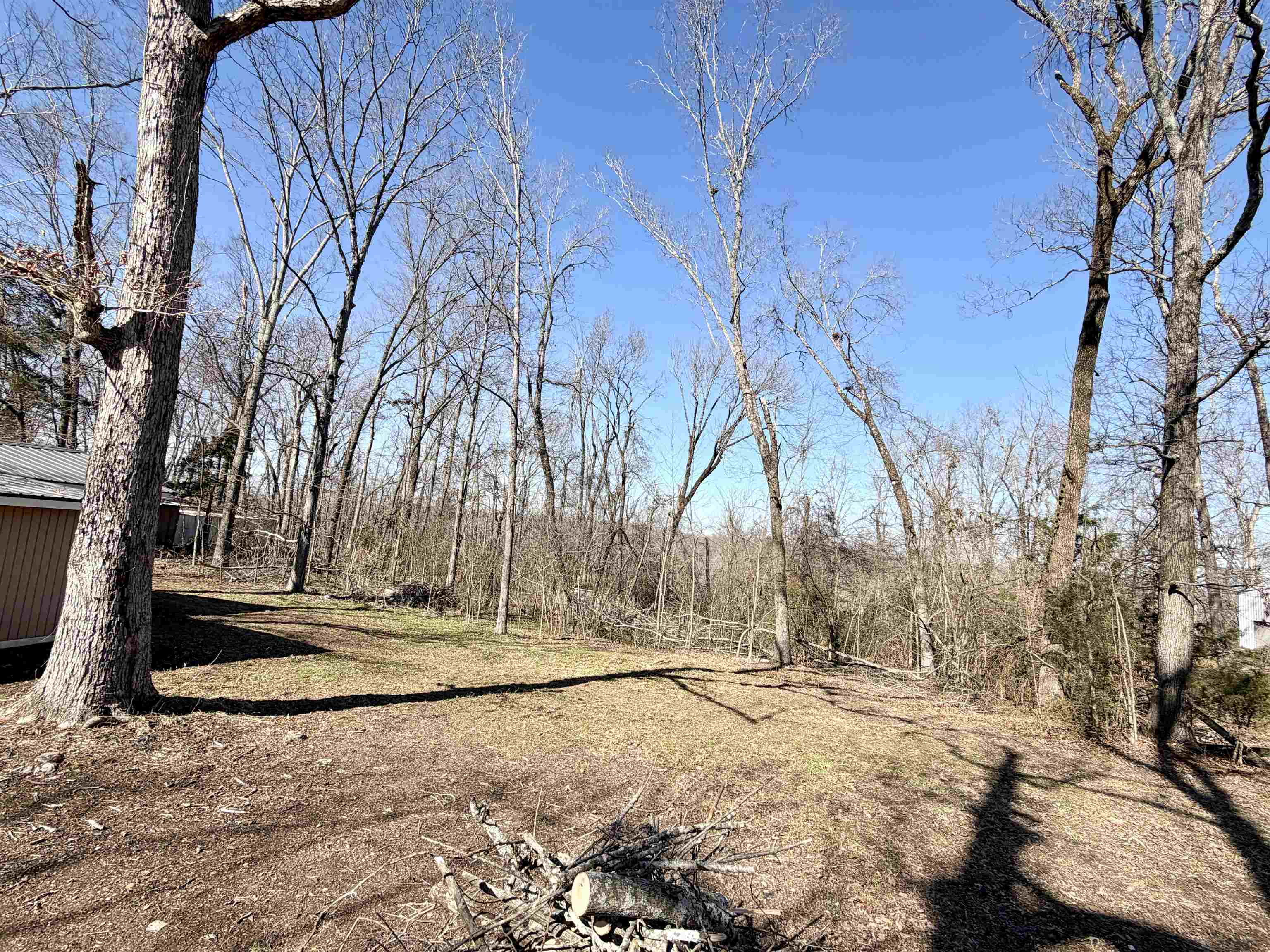 345 Shad Ln Property Photo 19