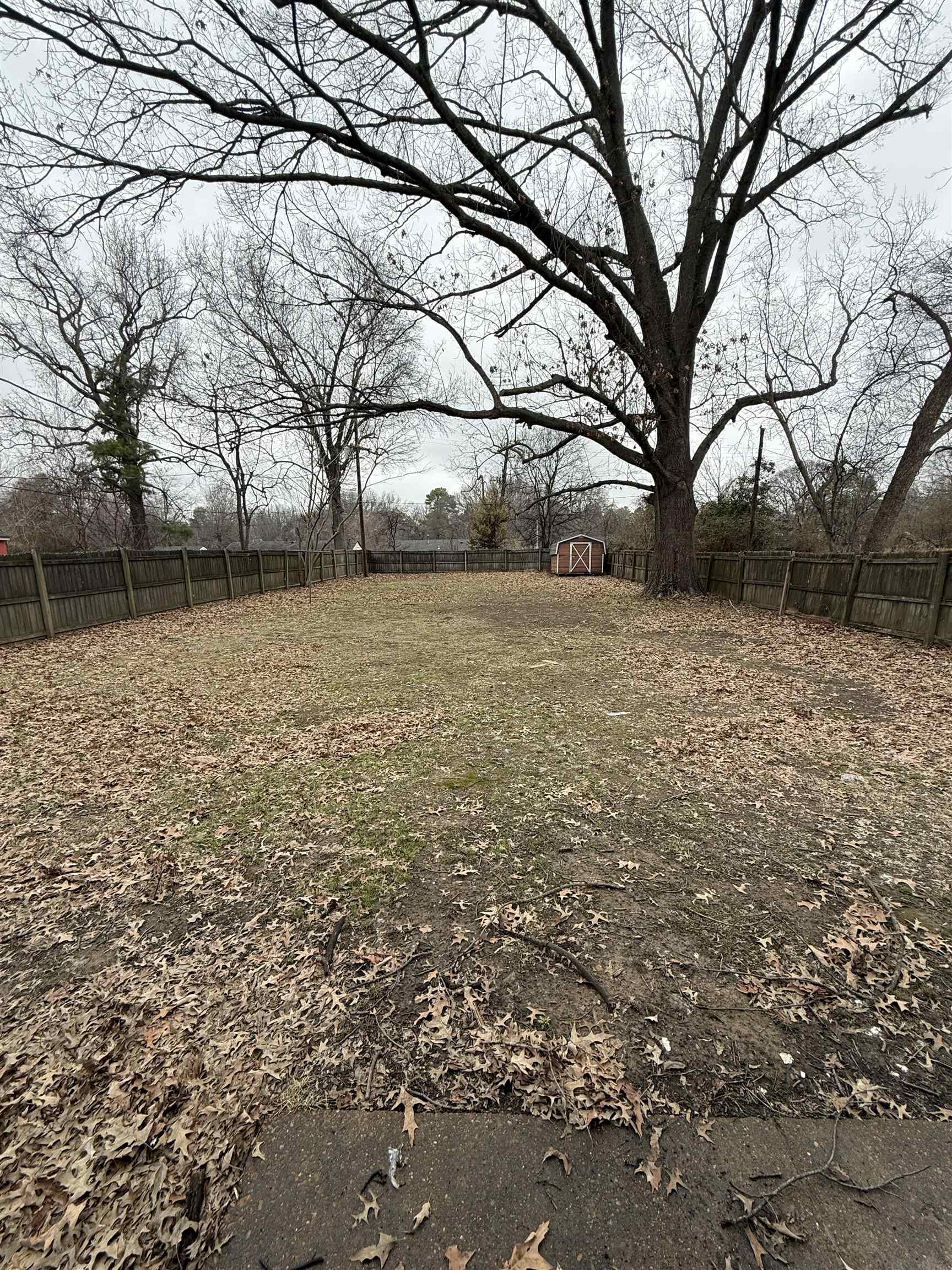 1972 Whitney Ave Property Photo 19