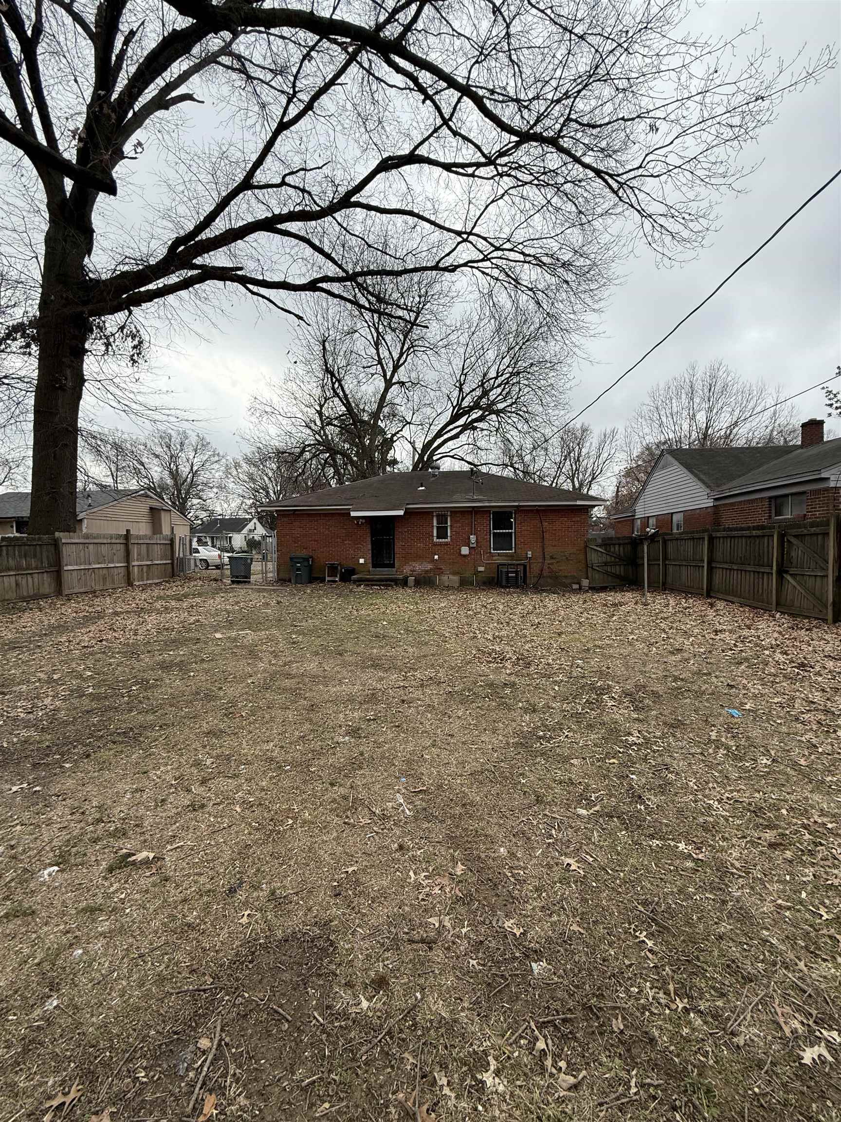 1972 Whitney Ave Property Photo 20