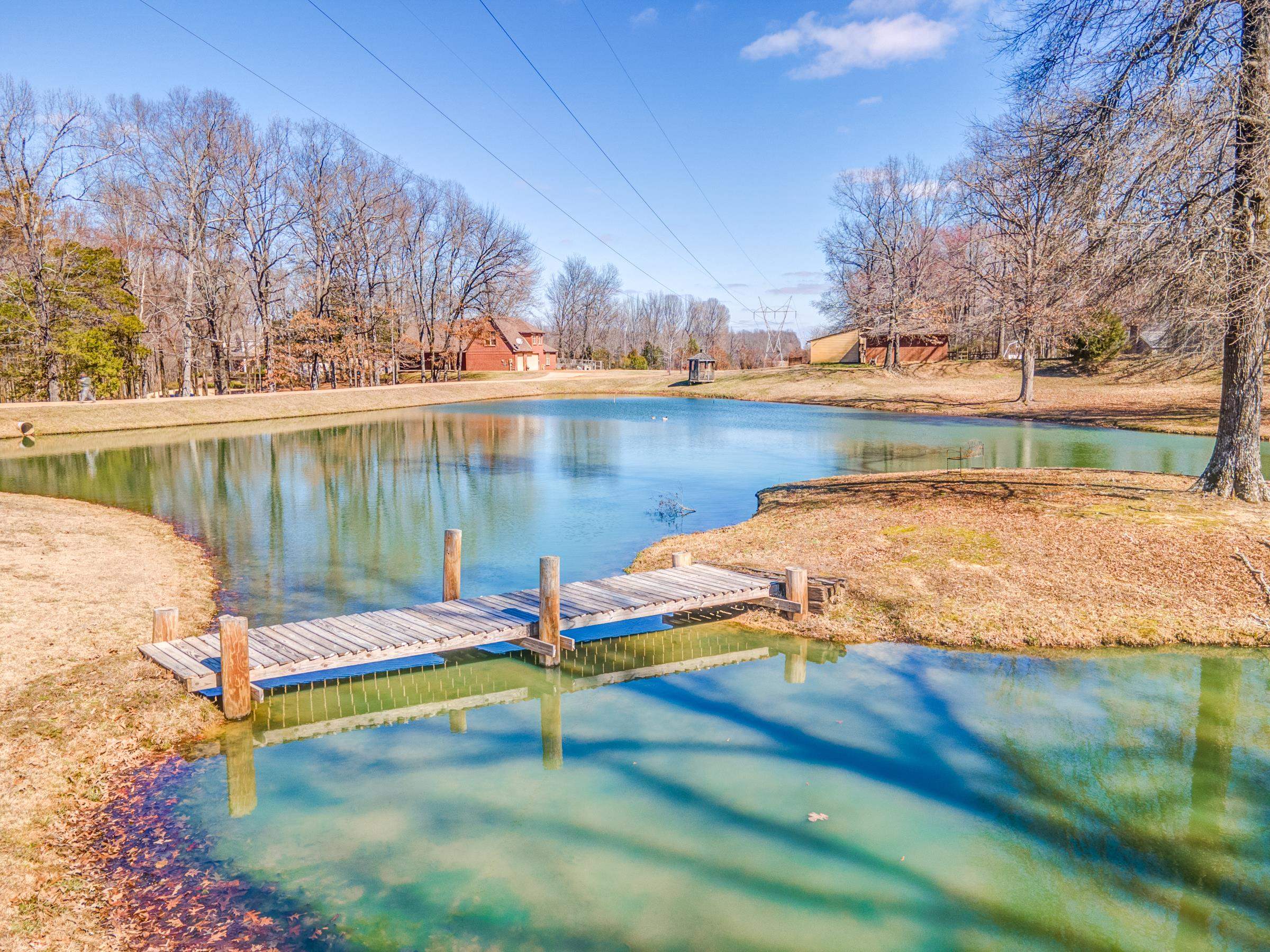 50 Breezy Meadows Cv Property Photo 39