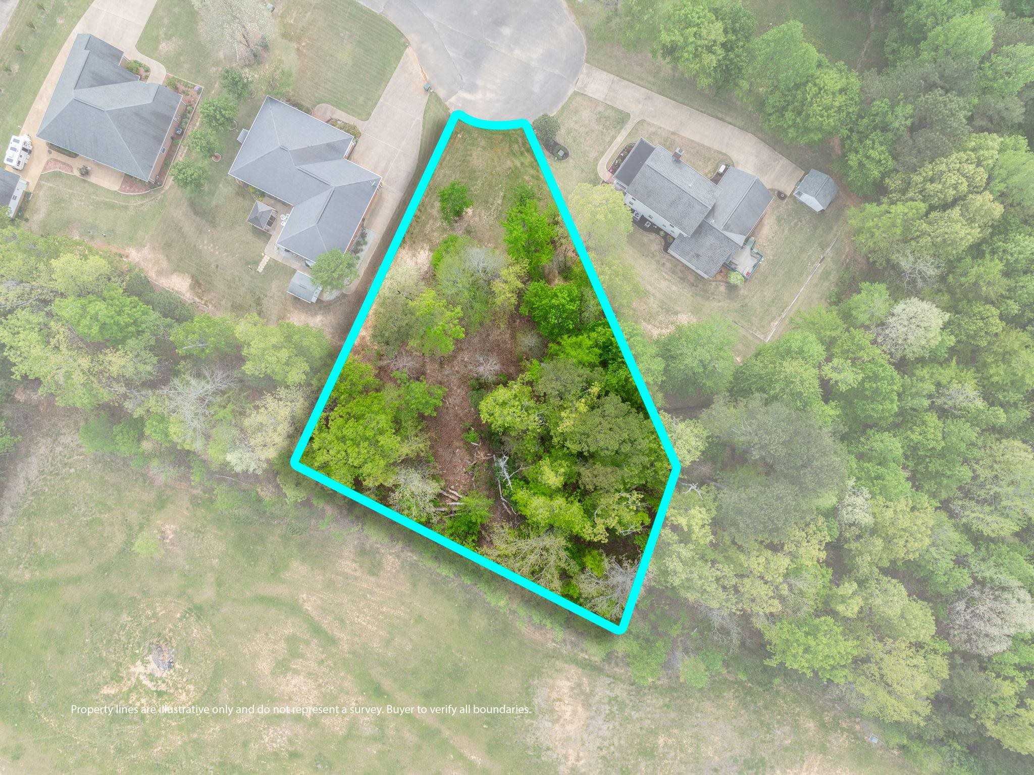 Tbd Lot 37 Tadpole Ln Property Photo 9