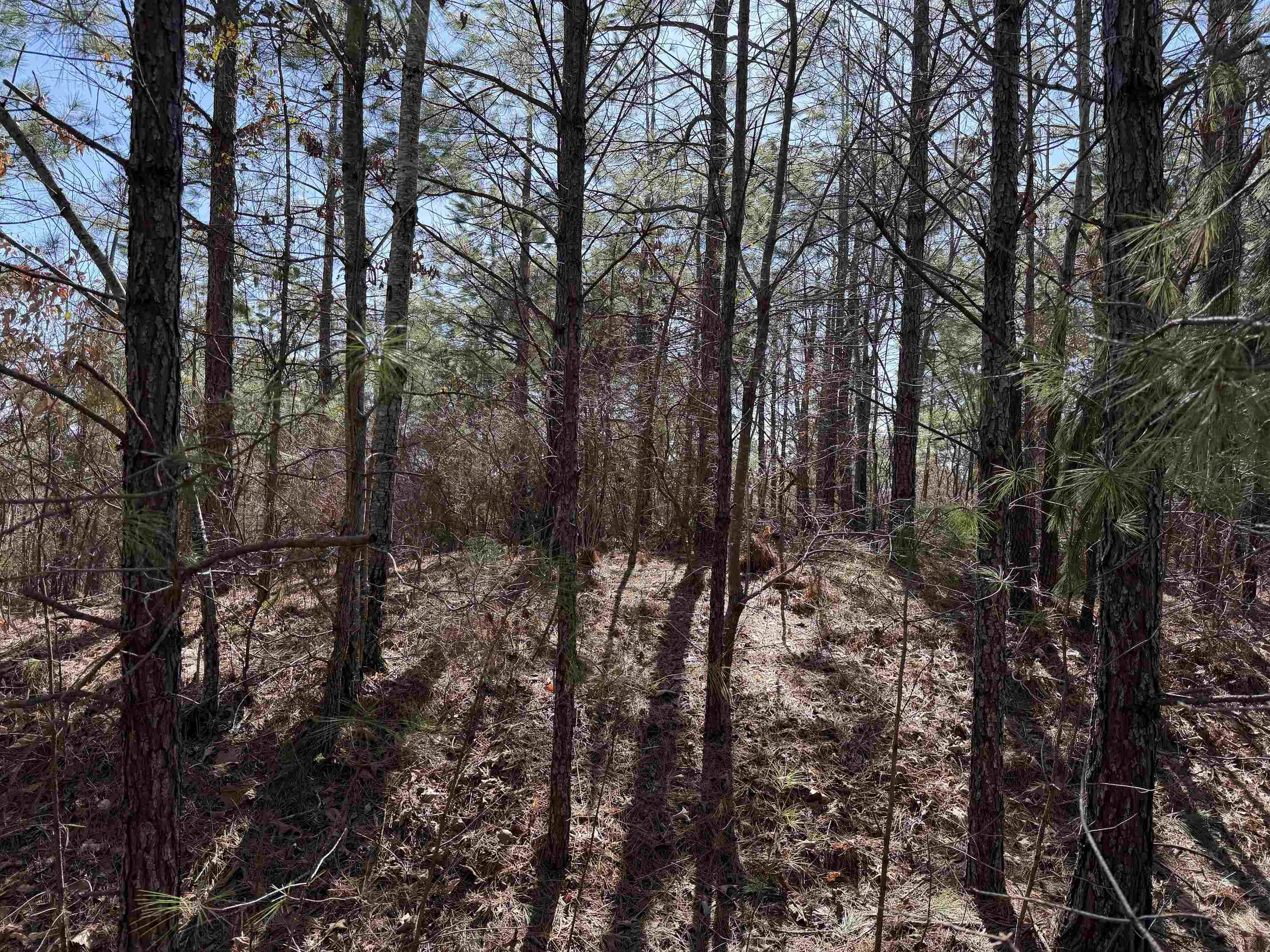 1 Pyburn Dr Property Photo 19