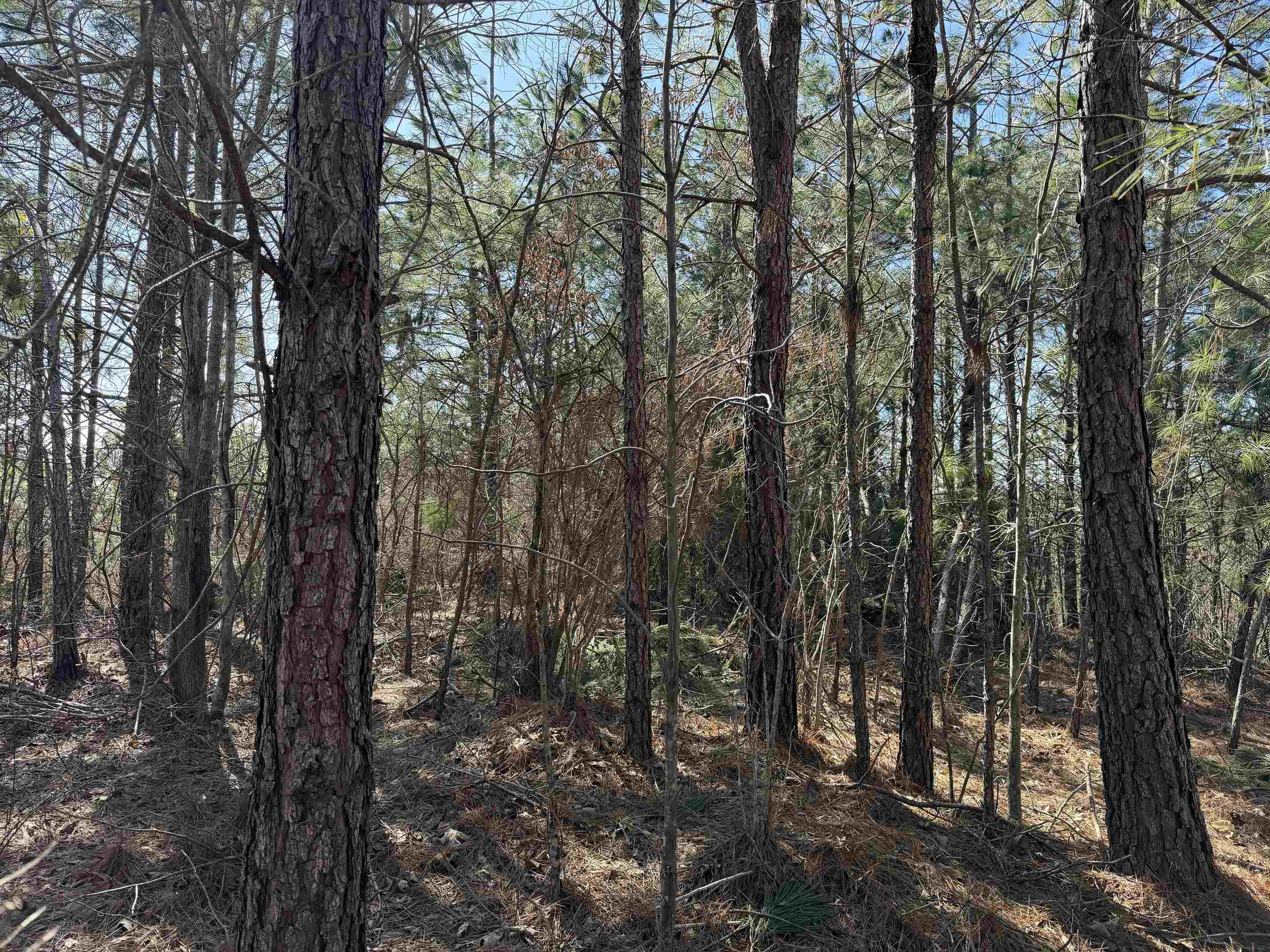1 Pyburn Dr Property Photo 20