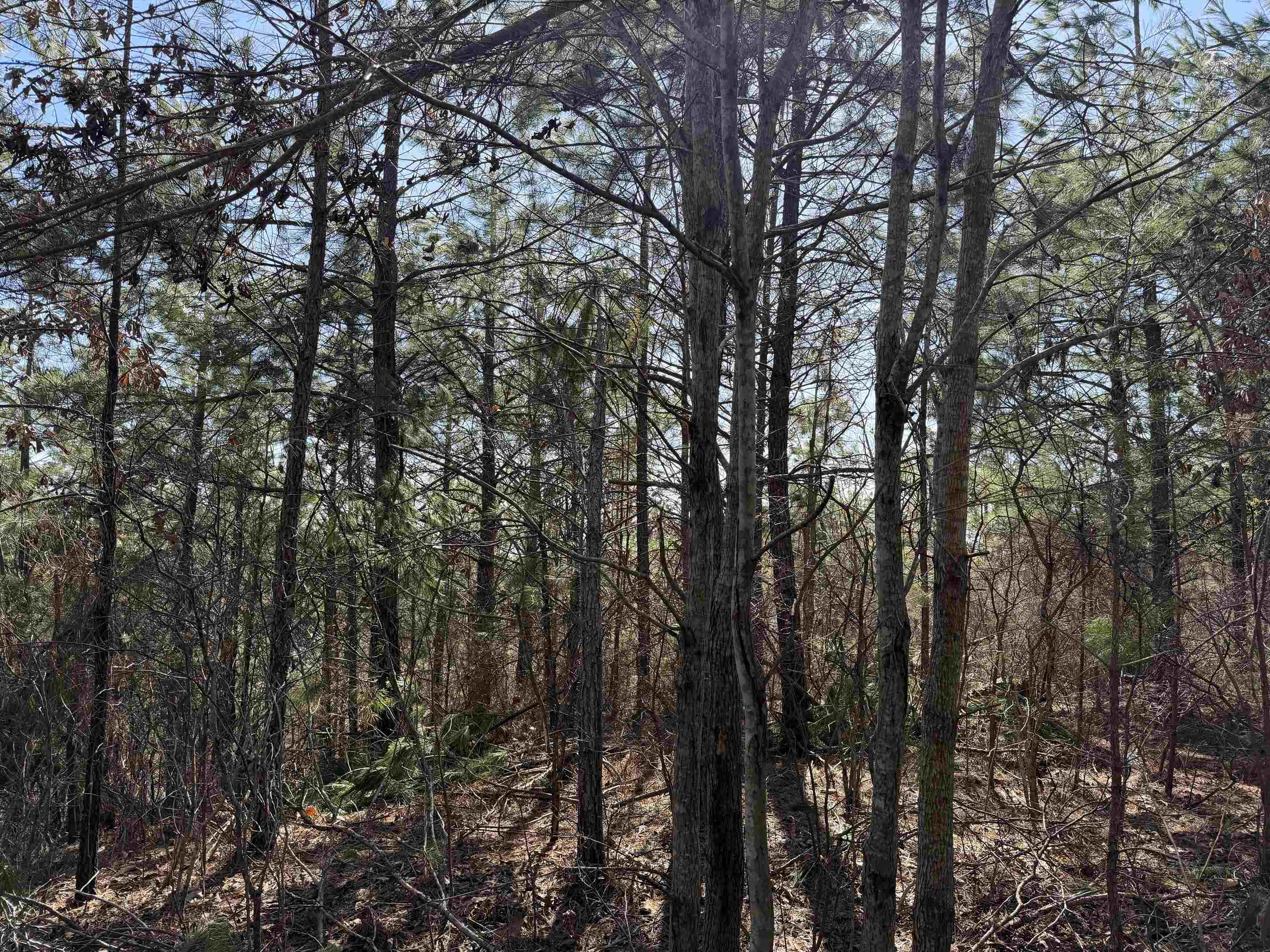 1 Pyburn Dr Property Photo 21