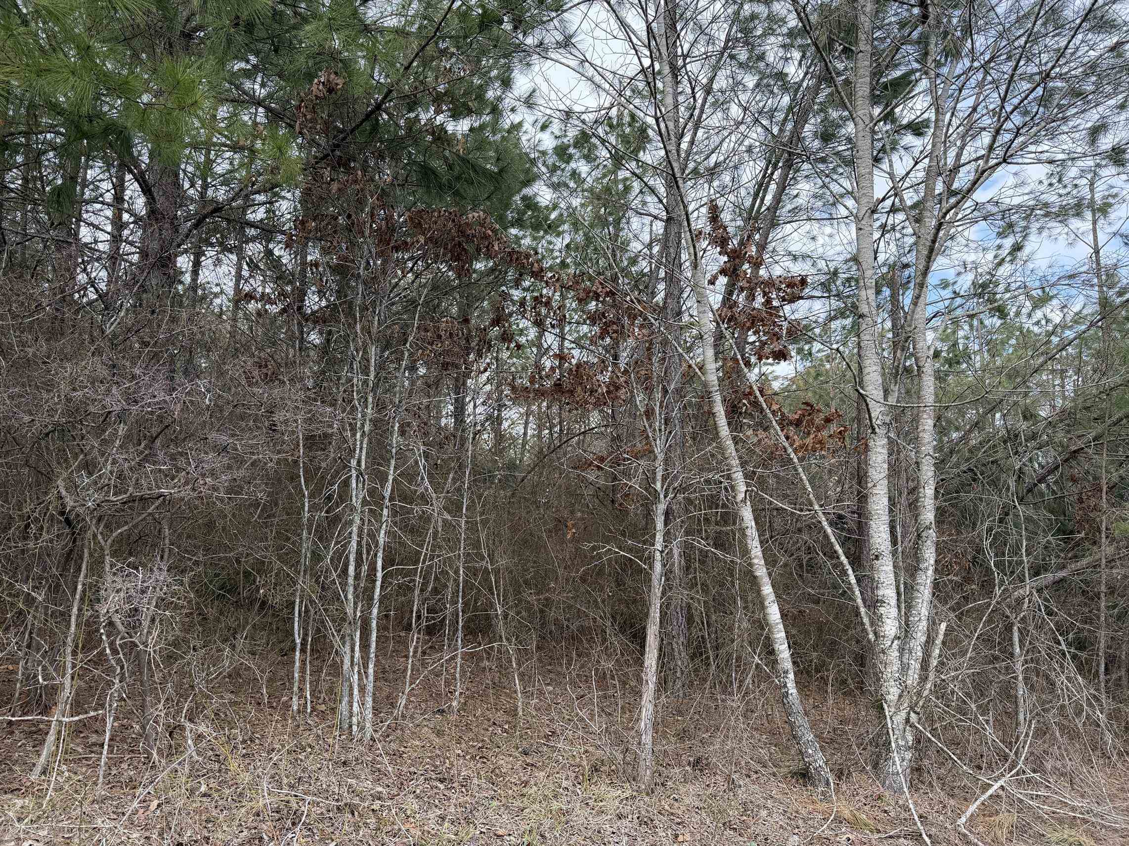 3 Pyburn Dr Property Photo 5