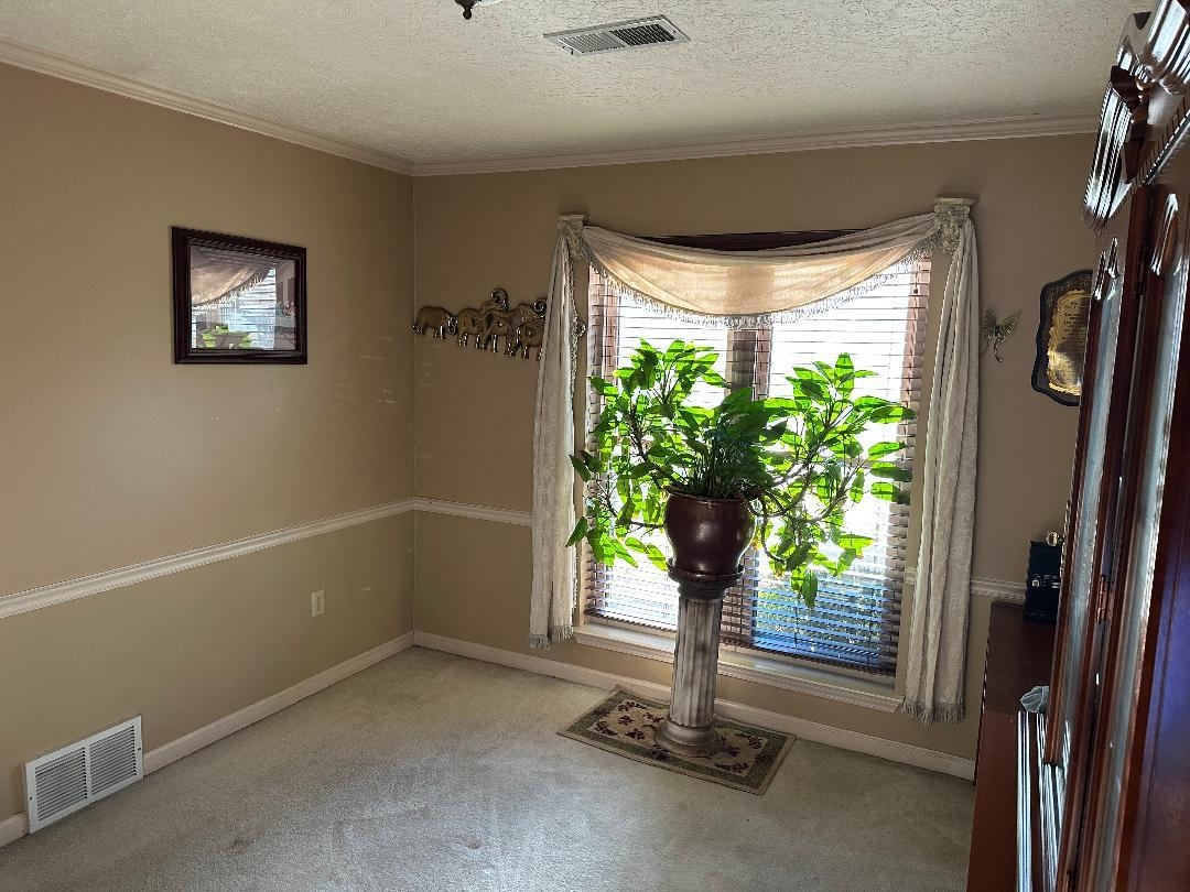 4124 Meadow Field Ln Property Photo 3