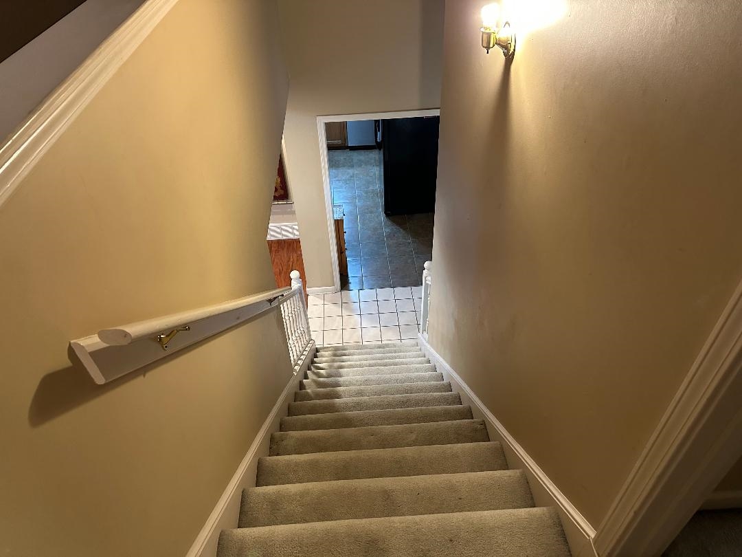 4124 Meadow Field Ln Property Photo 14