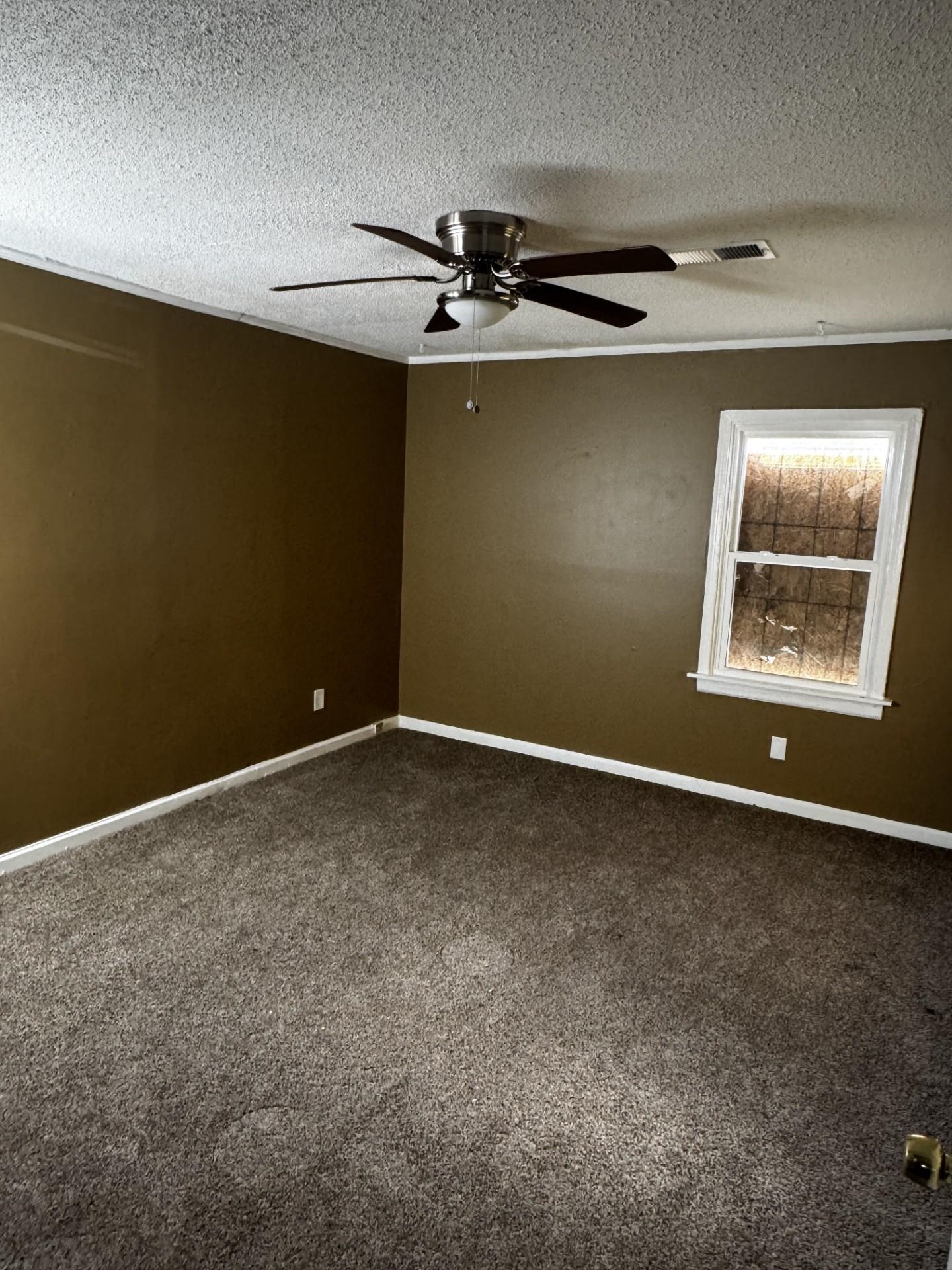 3271 Seminole Rd Property Photo 4