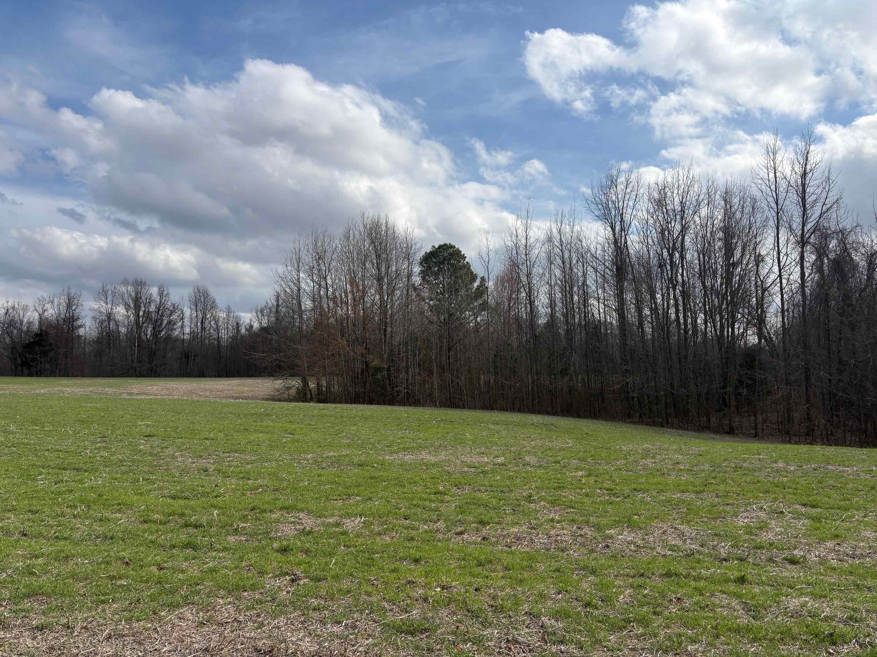 00 Bald Knob Rd Property Photo 6