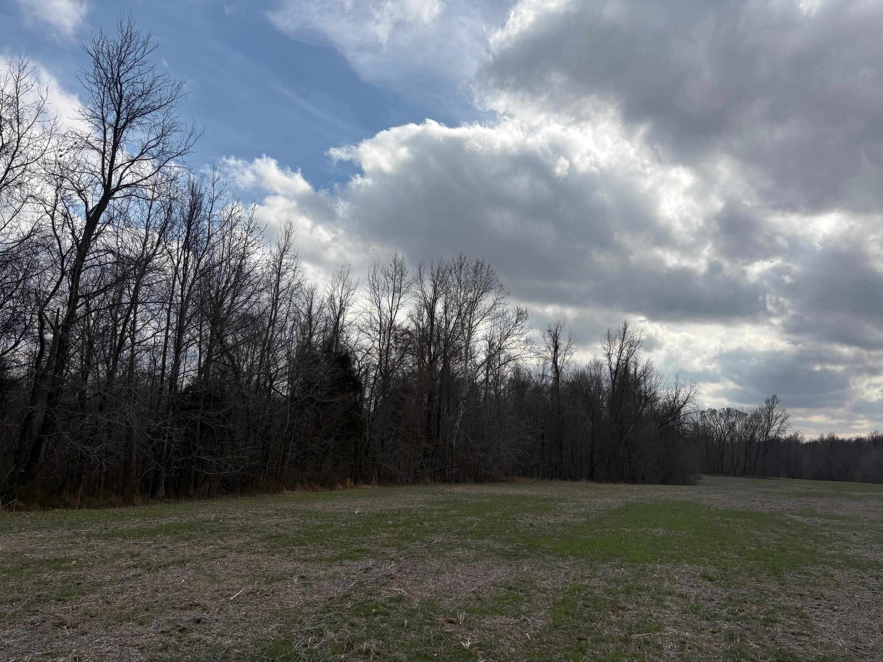 00 Bald Knob Rd Property Photo 11