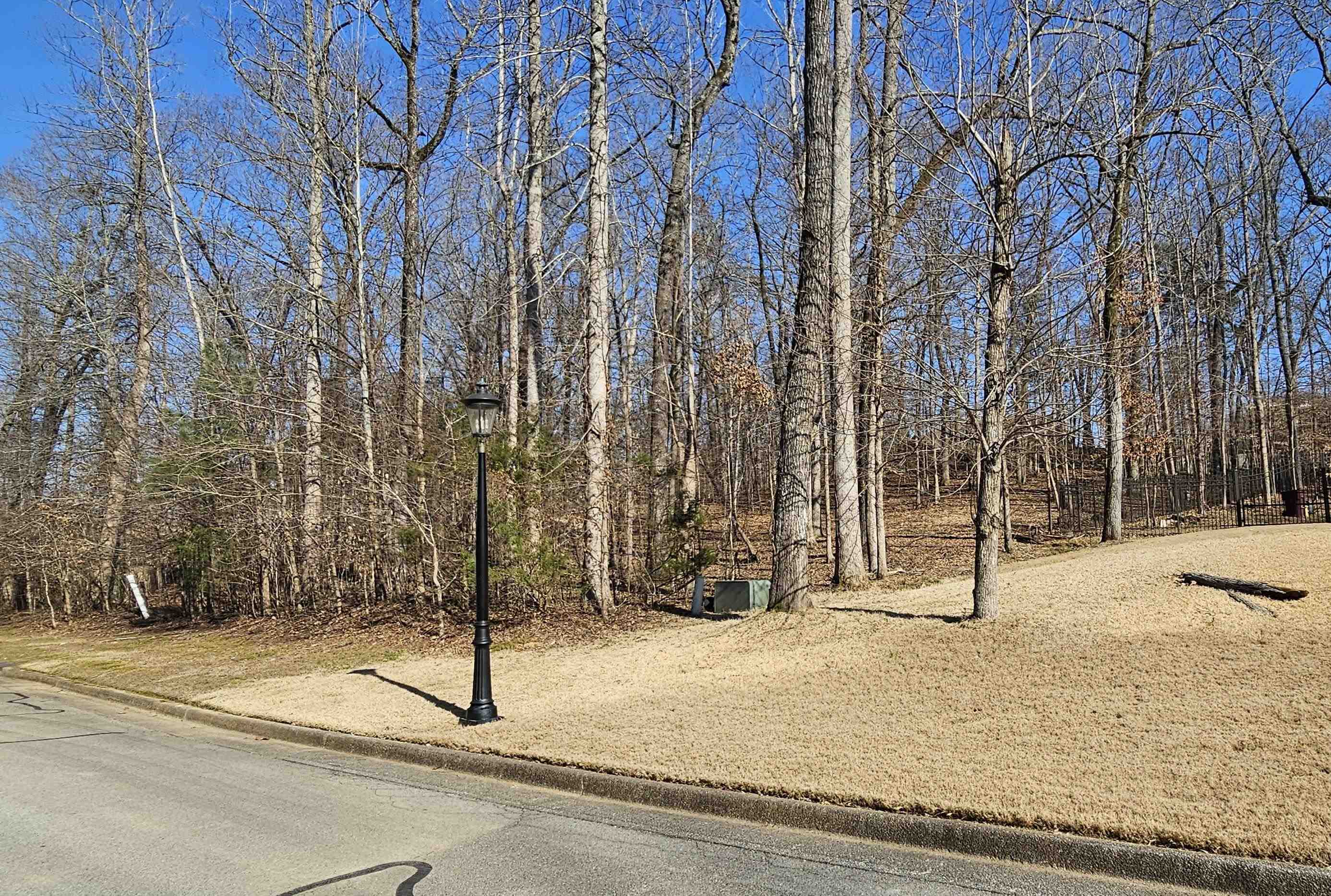 9385 Greybear Cv Property Photo 10