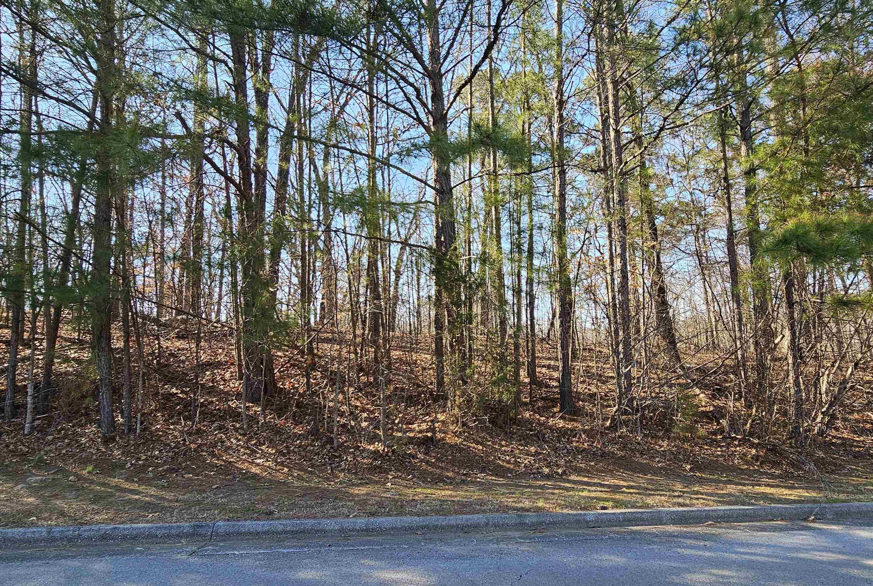 9385 Greybear Cv Property Photo 13
