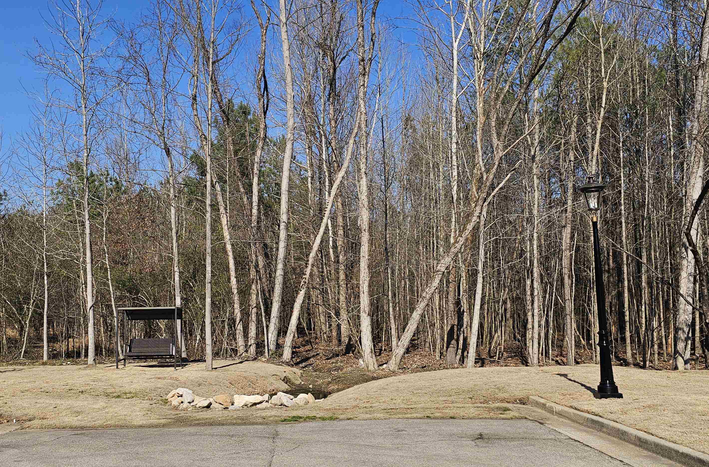 9385 Greybear Cv Property Photo 15