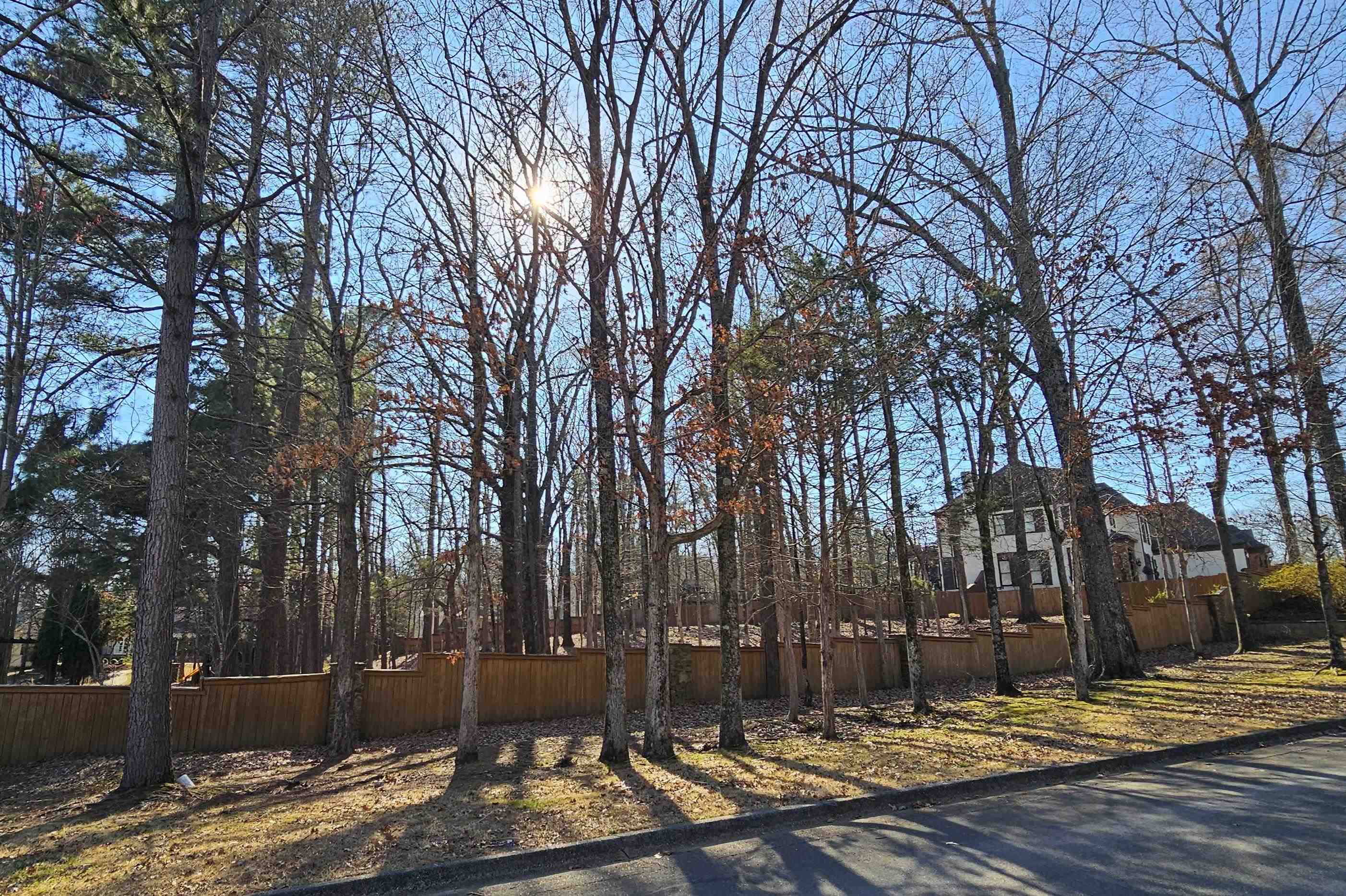 9385 Greybear Cv Property Photo 18