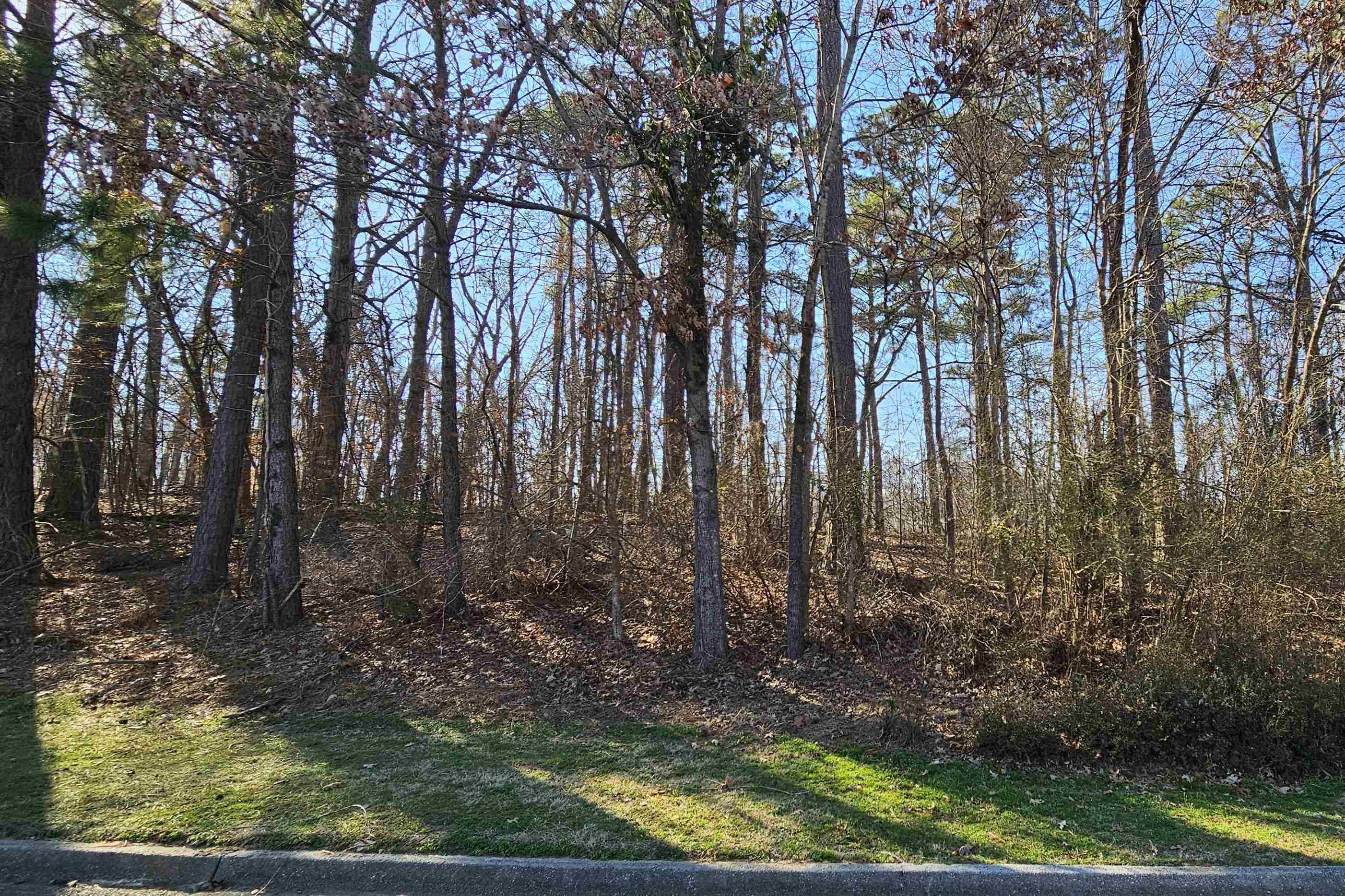 9385 Greybear Cv Property Photo 19