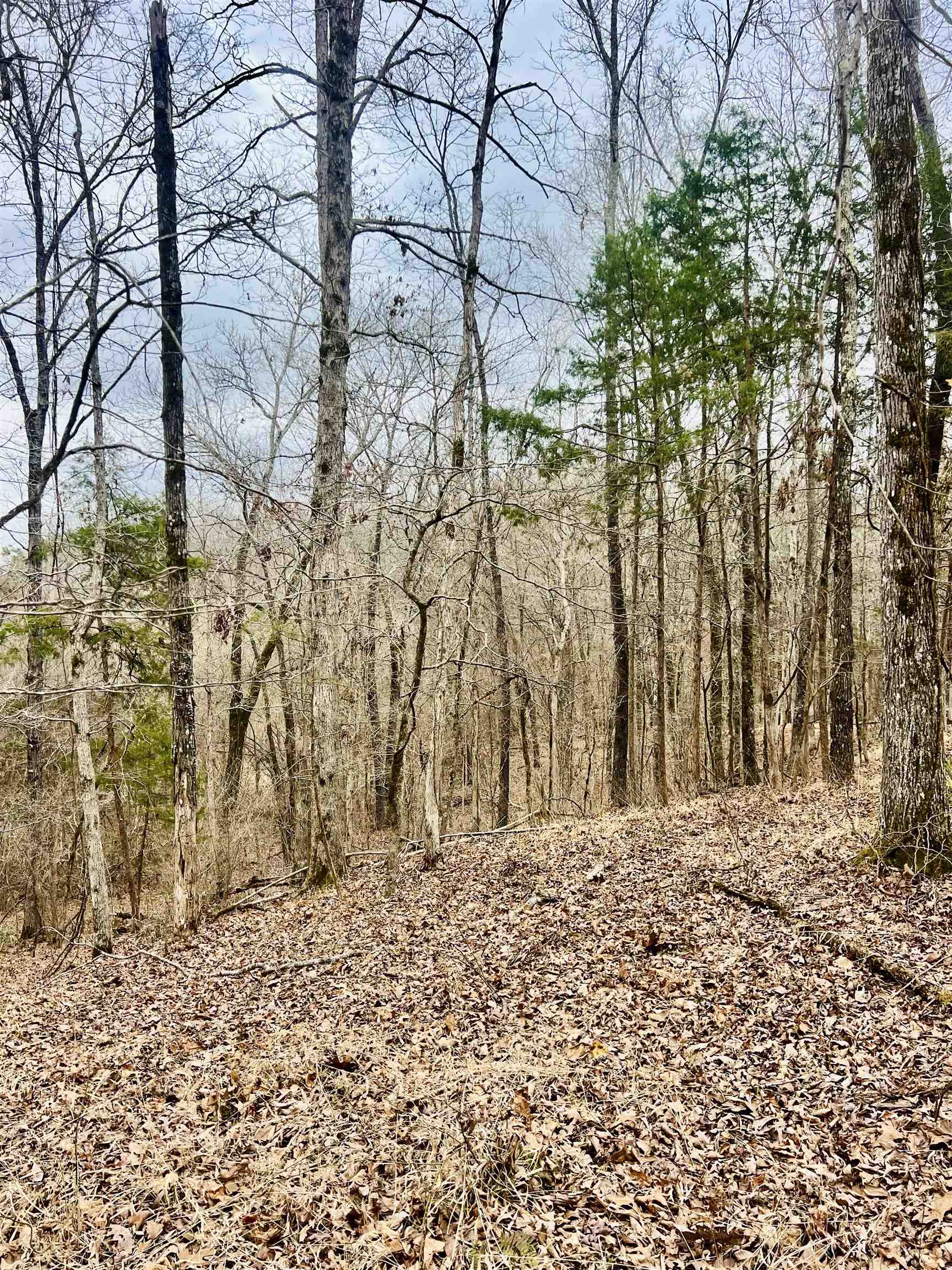 3990 Monk House Rd Property Photo 4