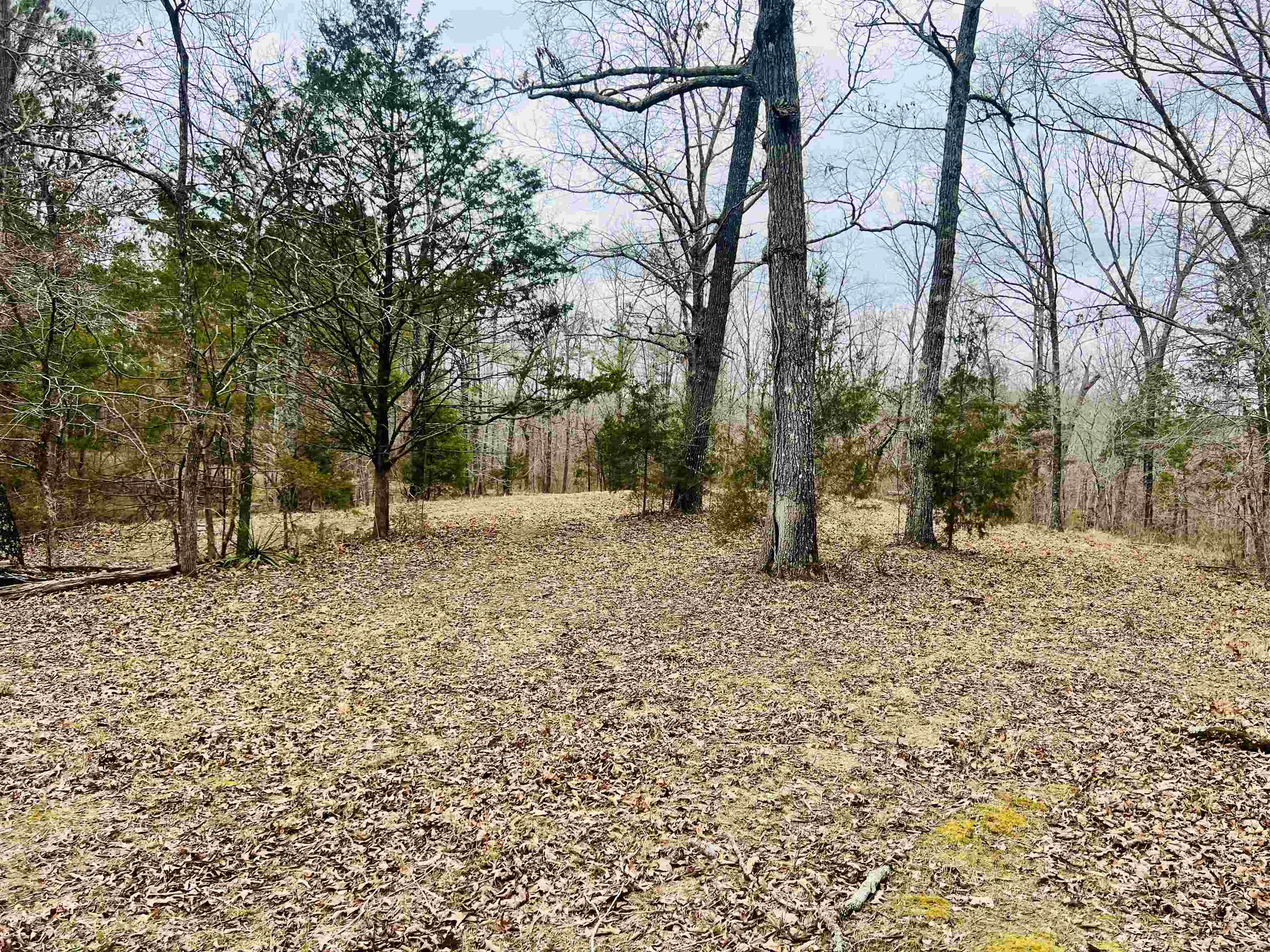 3990 Monk House Rd Property Photo 5