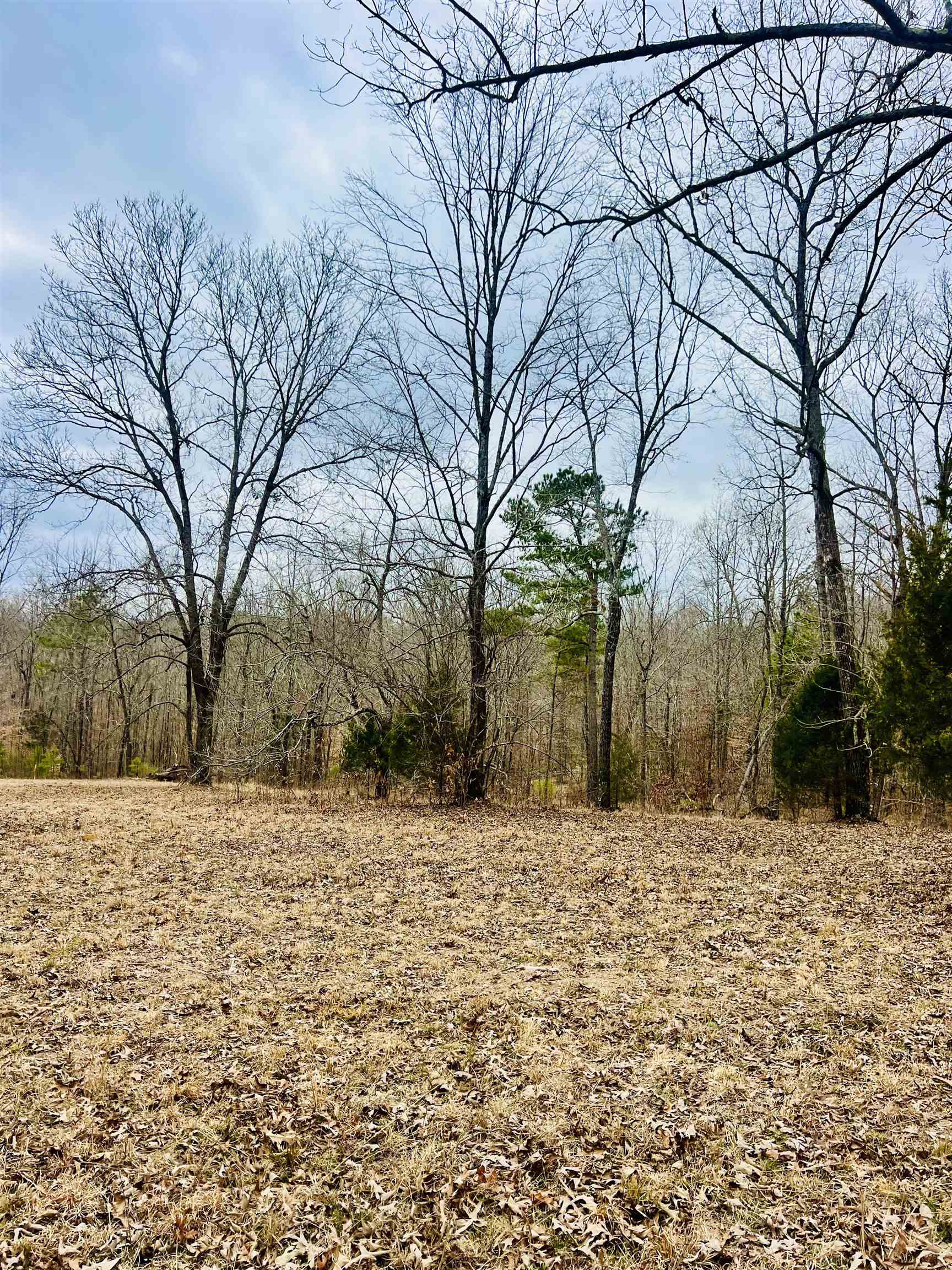 3990 Monk House Rd Property Photo 7
