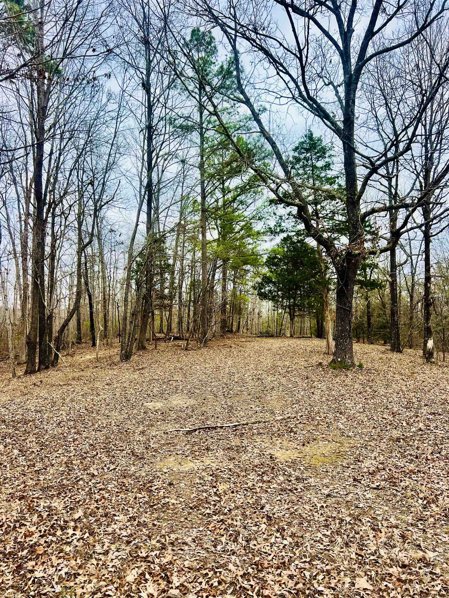 3990 Monk House Rd Property Photo 10