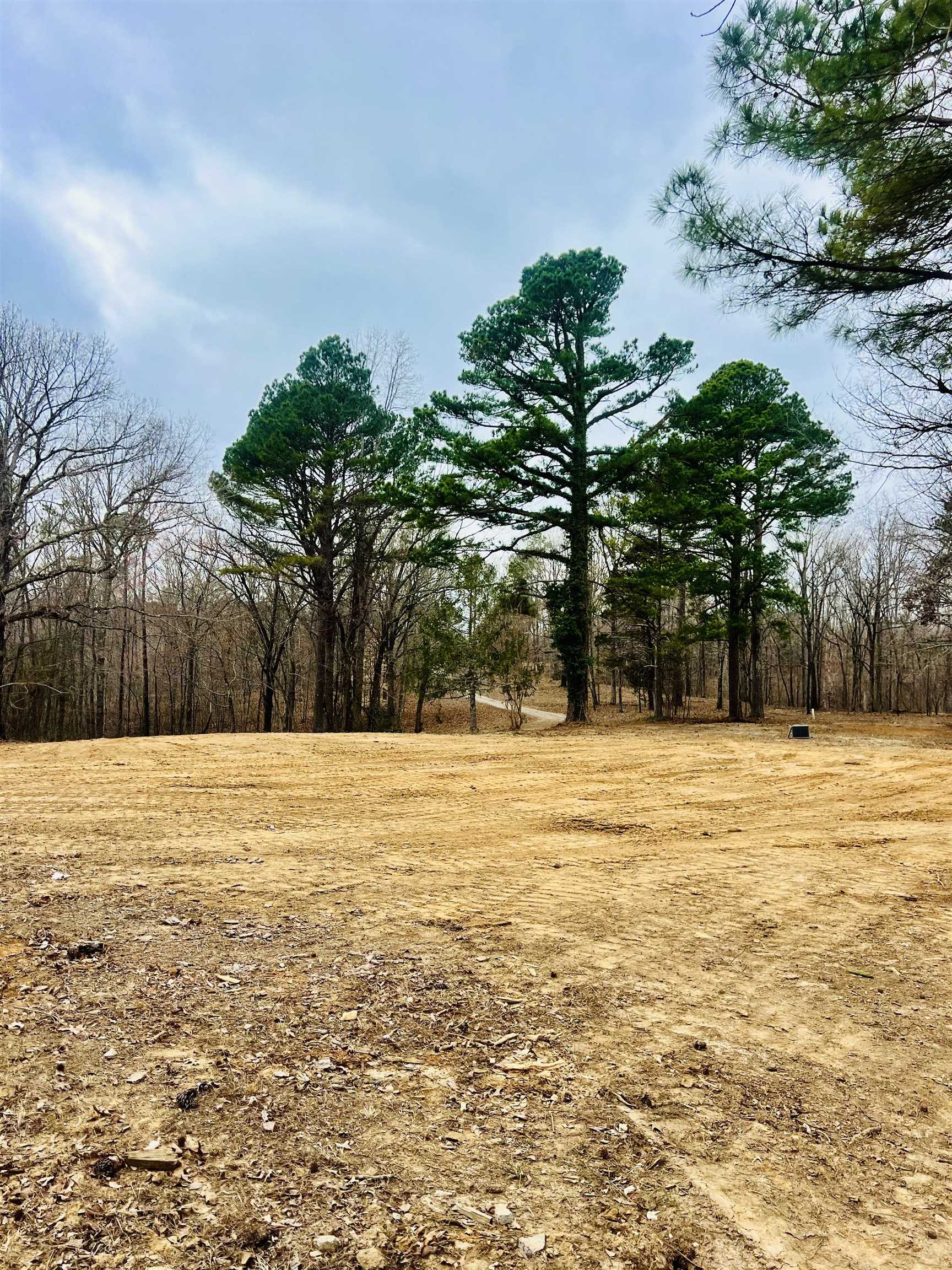 3990 Monk House Rd Property Photo 11