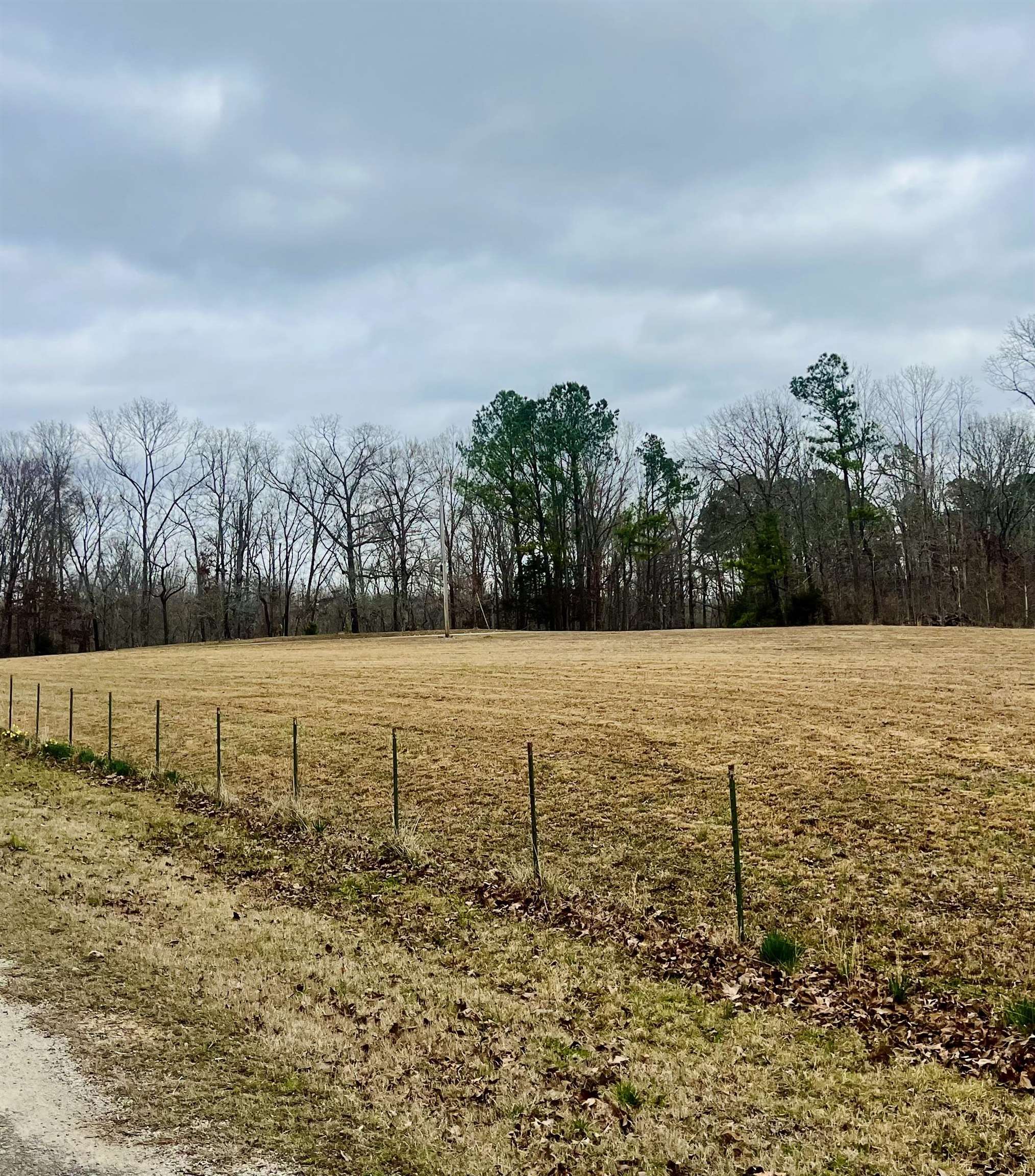 3990 Monk House Rd Property Photo 12