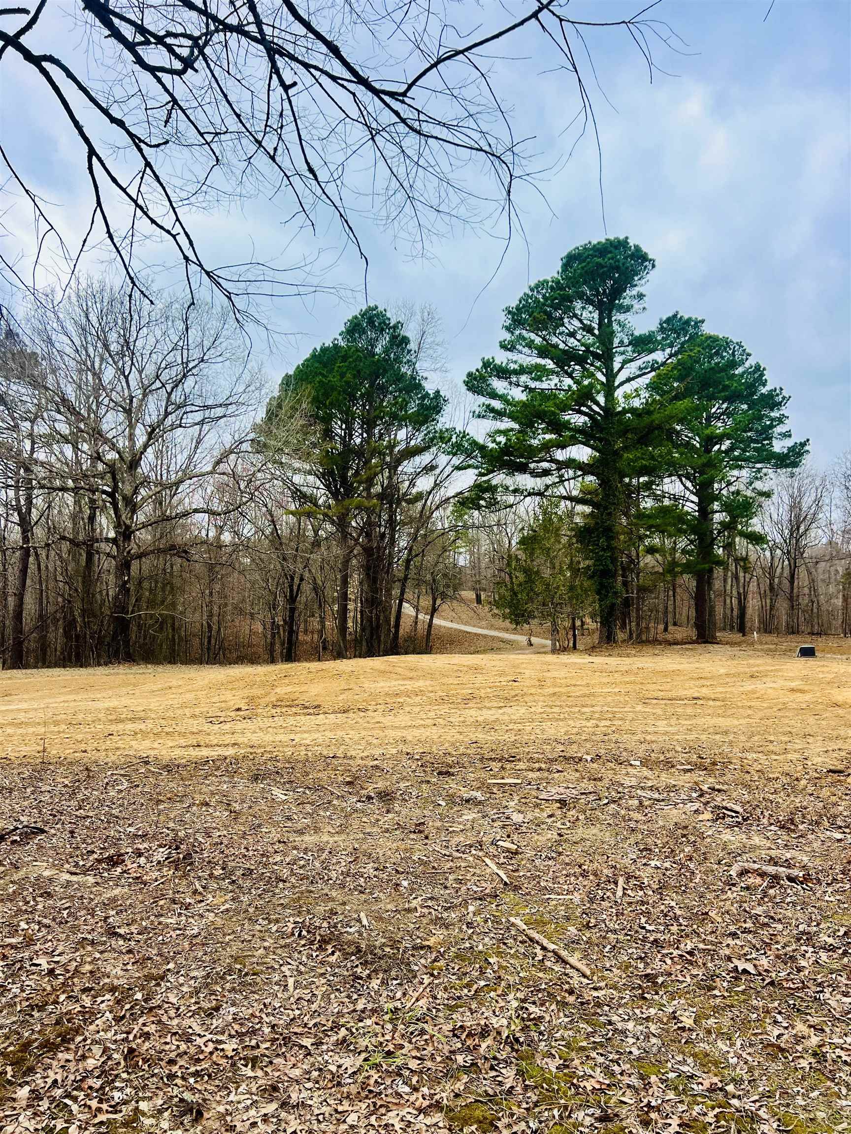 3990 Monk House Rd Property Photo 18