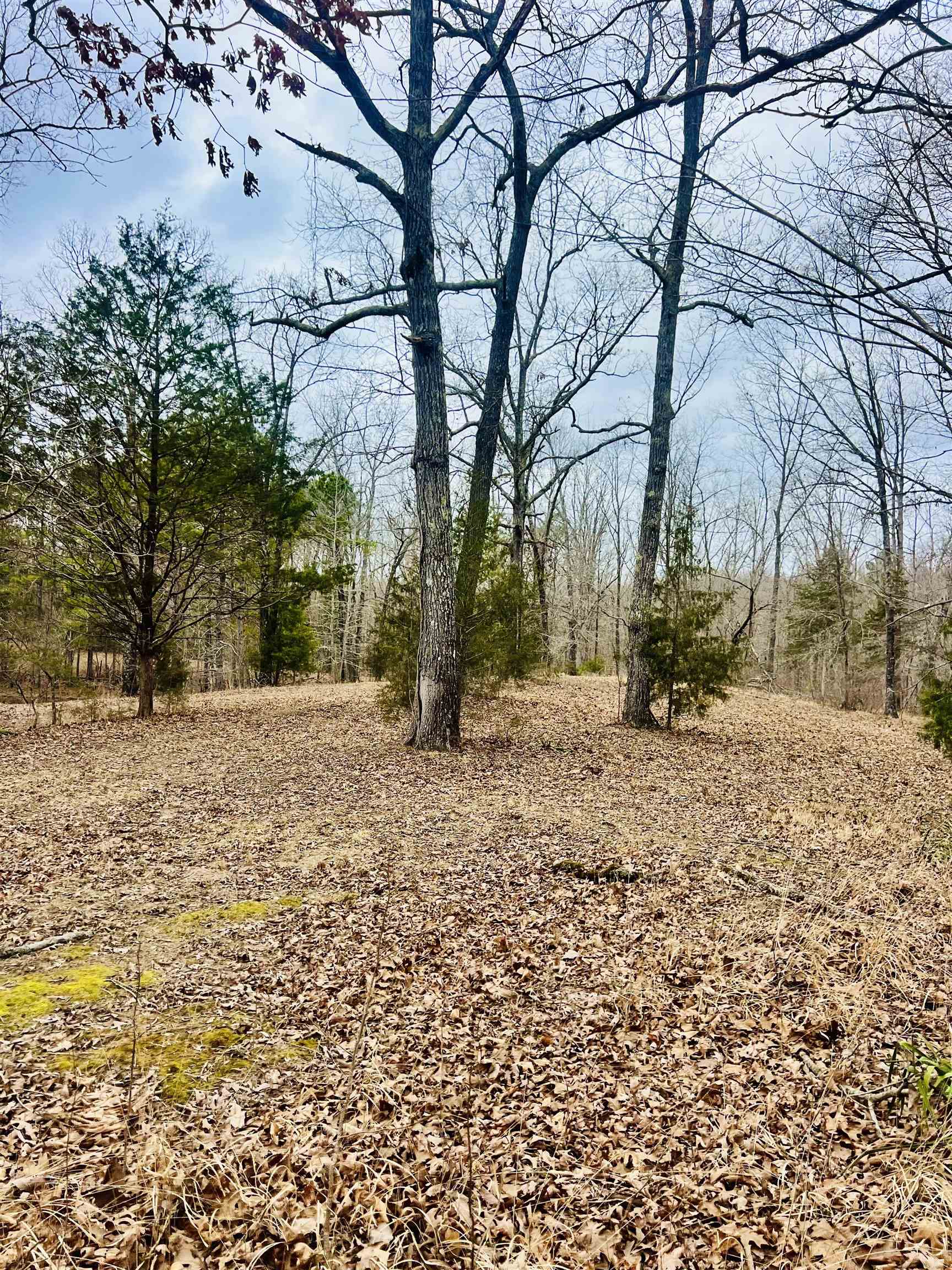 3990 Monk House Rd Property Photo 20