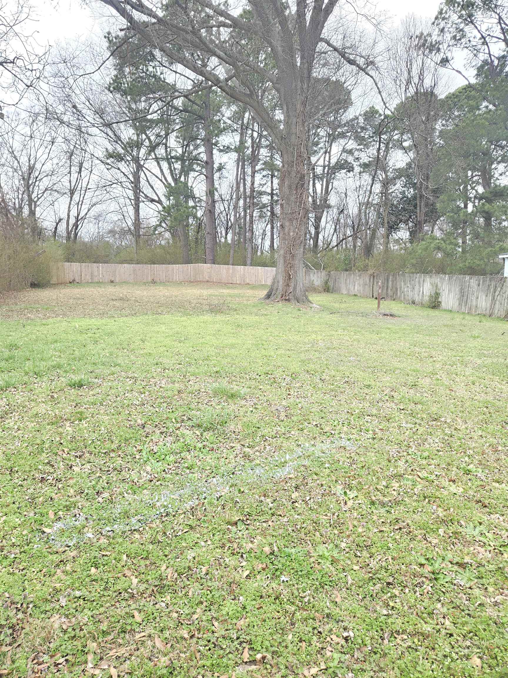 4753 Berta Rd Property Photo 14