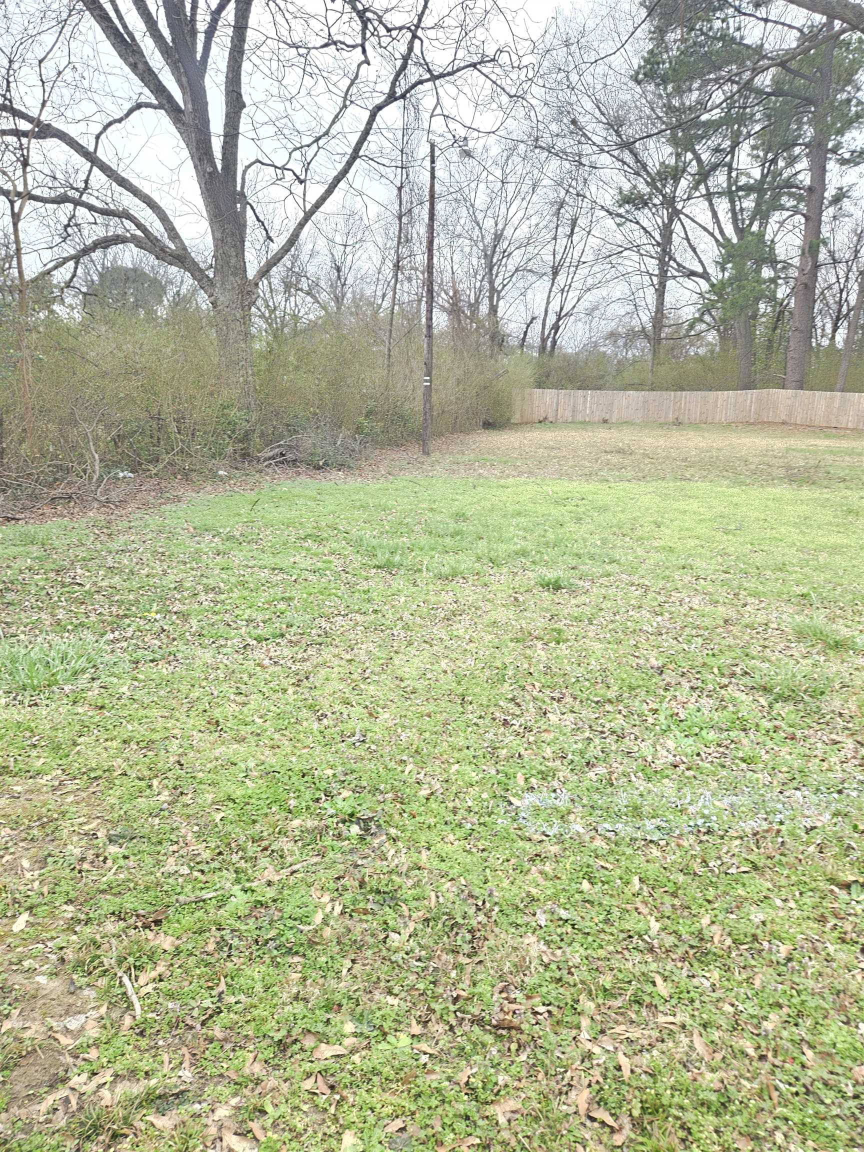 4753 Berta Rd Property Photo 15
