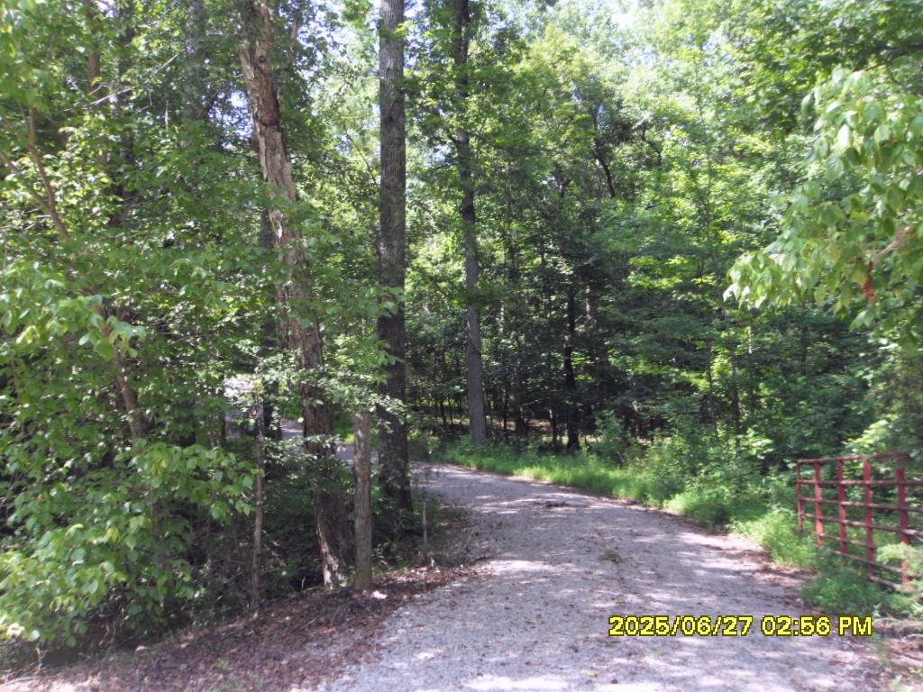 5365 Sardis Dr Property Photo 2