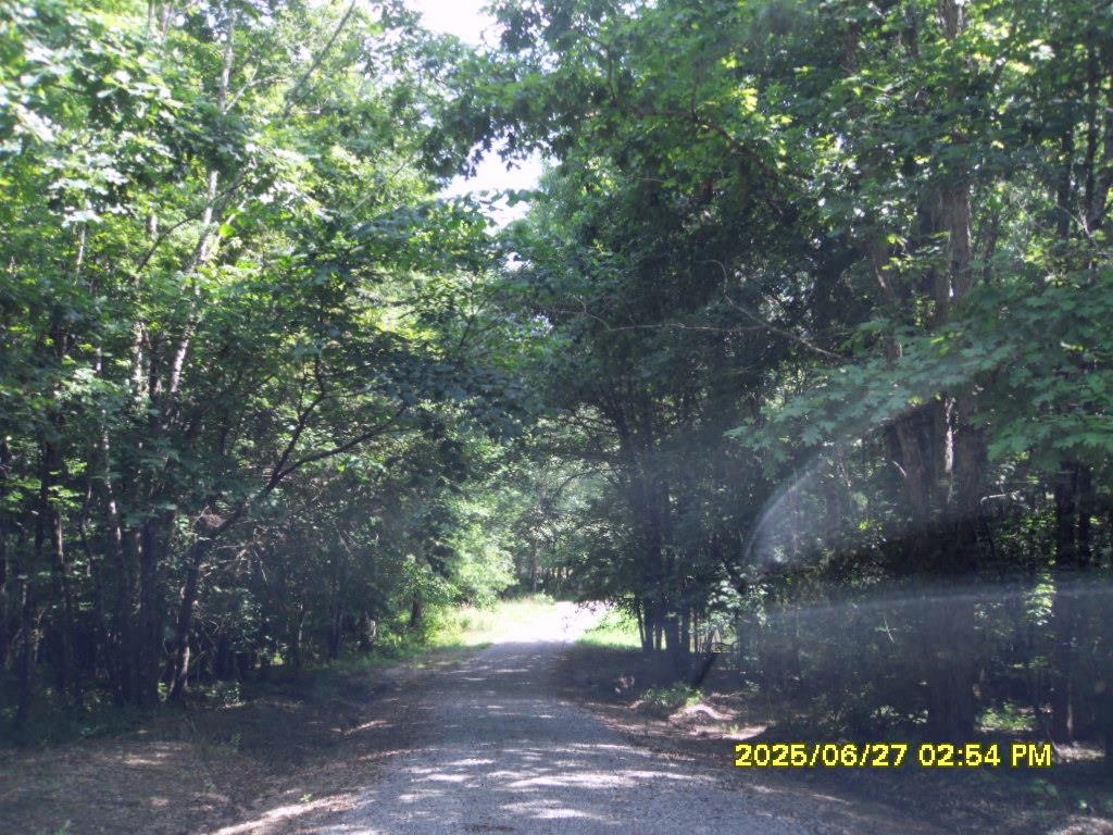 5365 Sardis Dr Property Photo 3