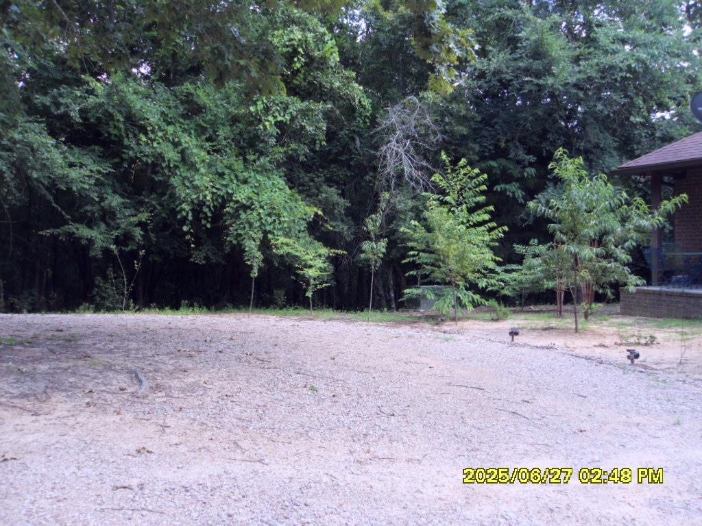 5365 Sardis Dr Property Photo 4