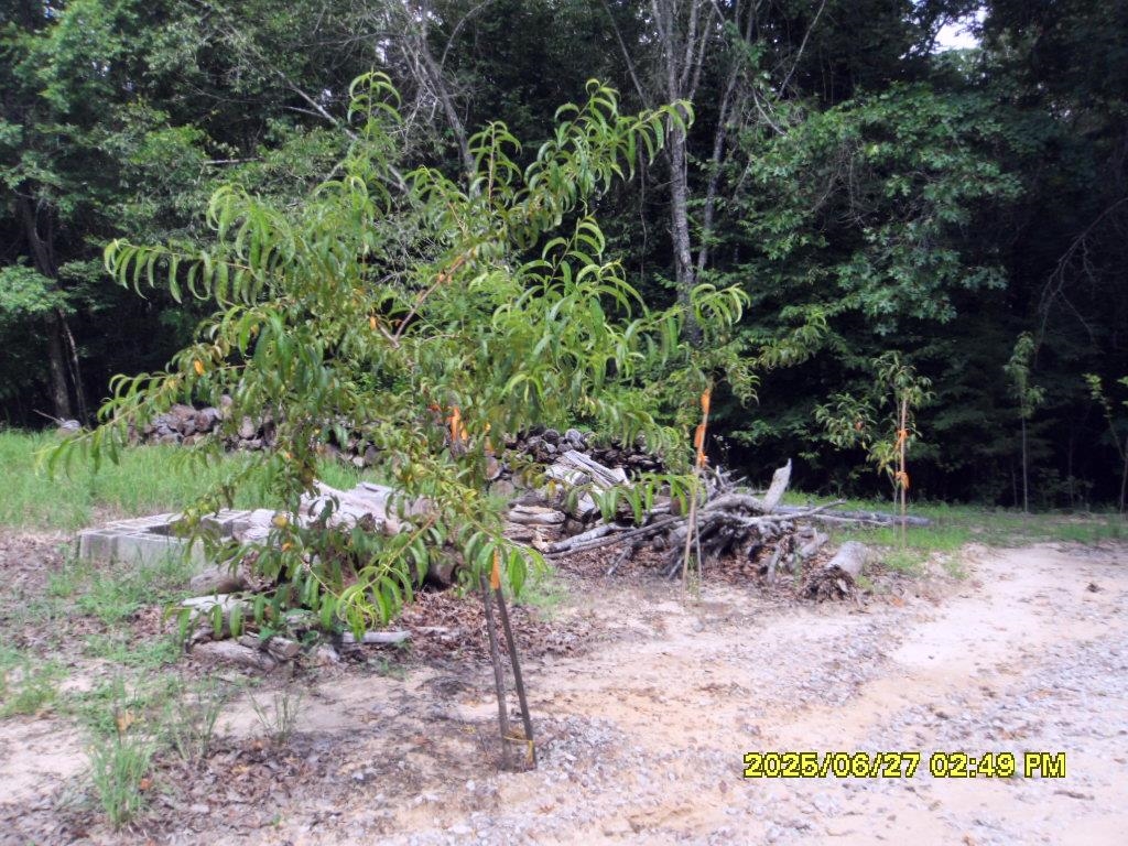 5365 Sardis Dr Property Photo 8