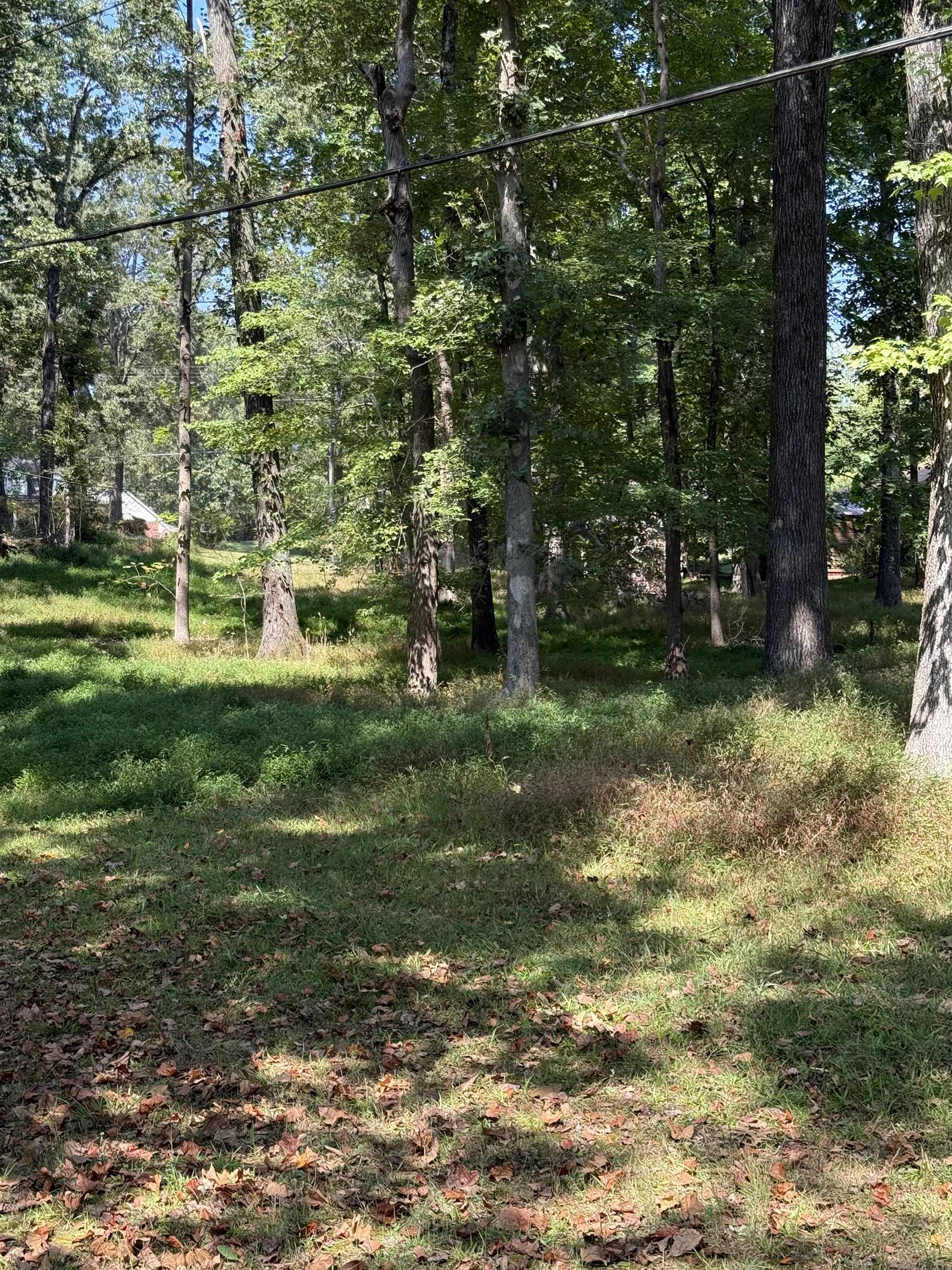 120 Blueberry Rd Property Photo 34