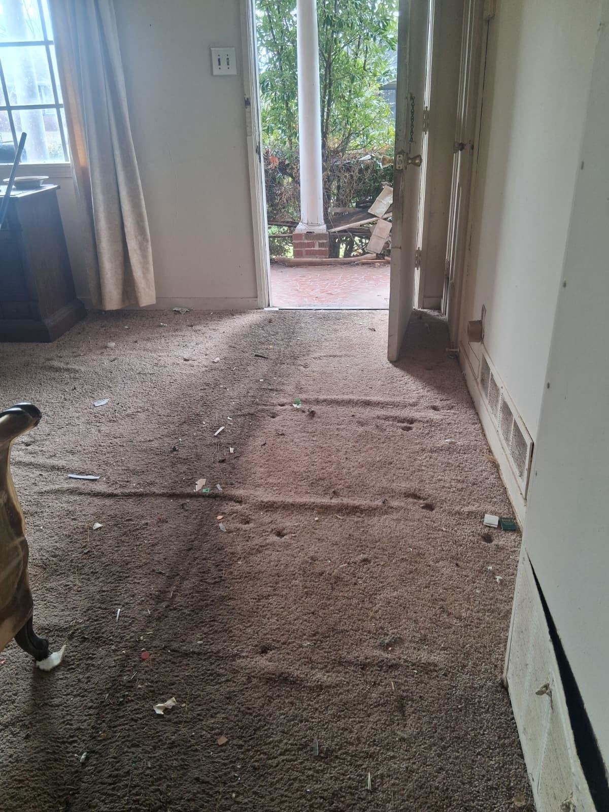 1516 Raven Ave Property Photo 2