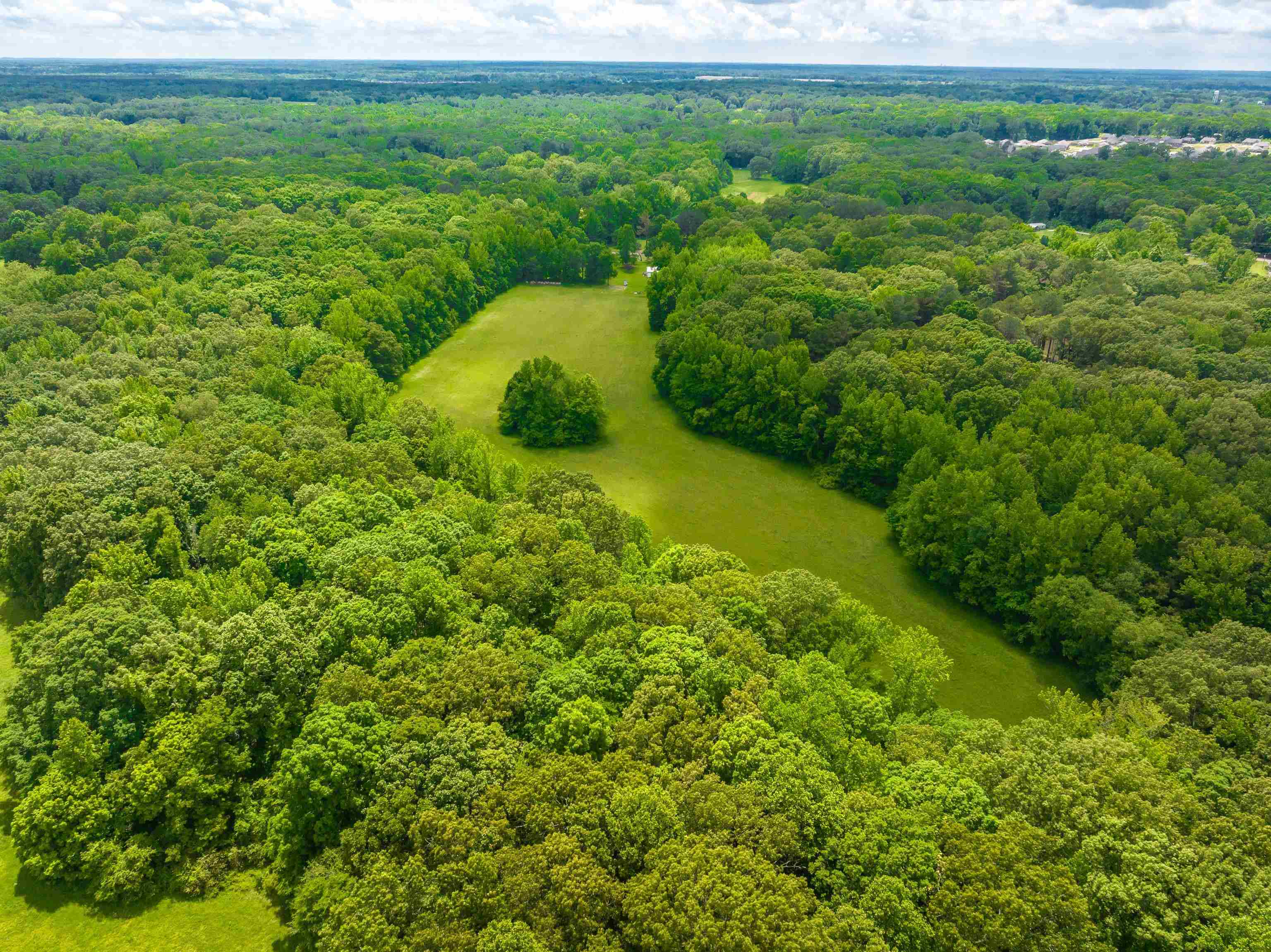 25 Acres Dogwood Rd Property Photo 1