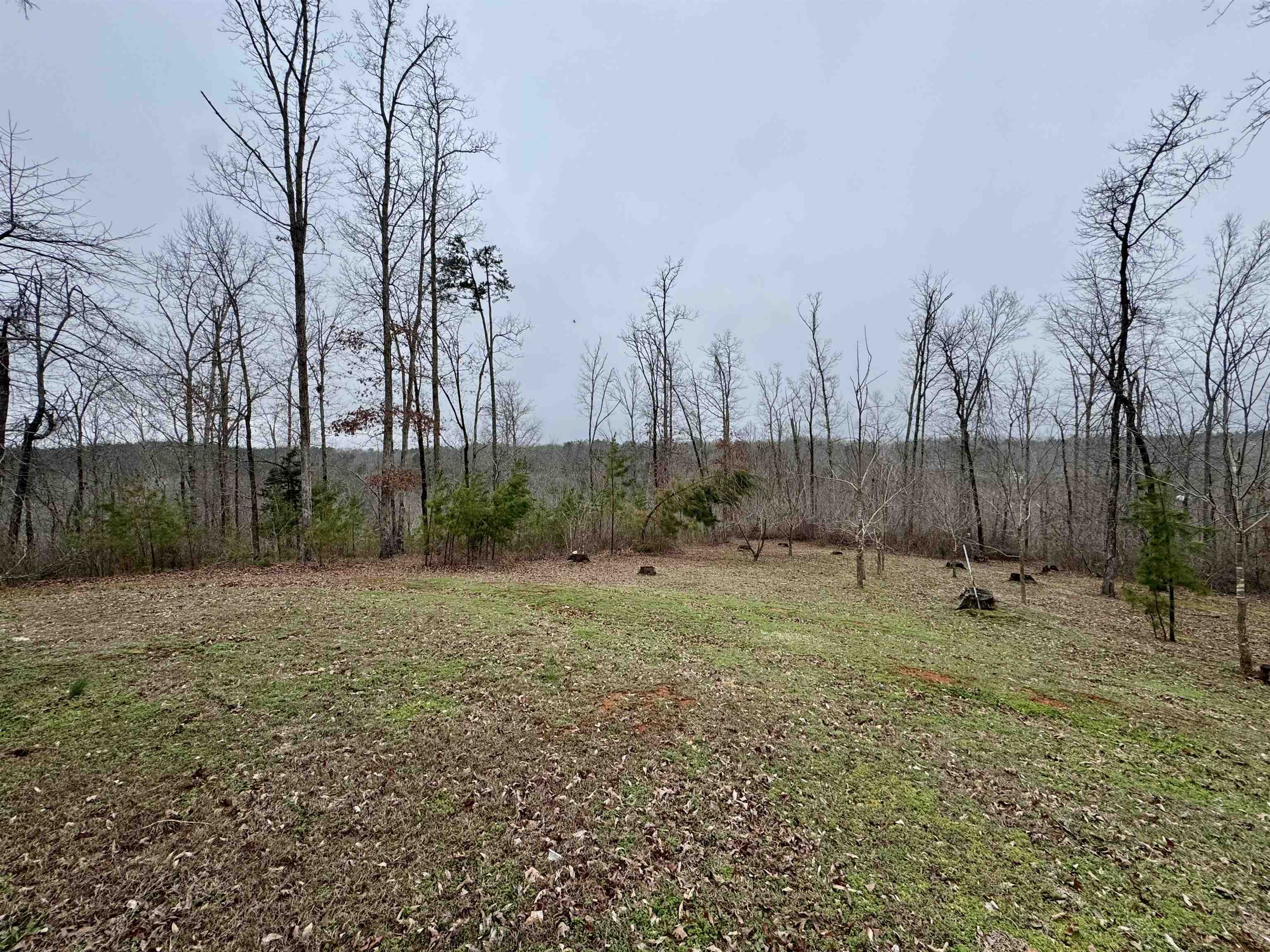 125 Elam Way Property Photo 21