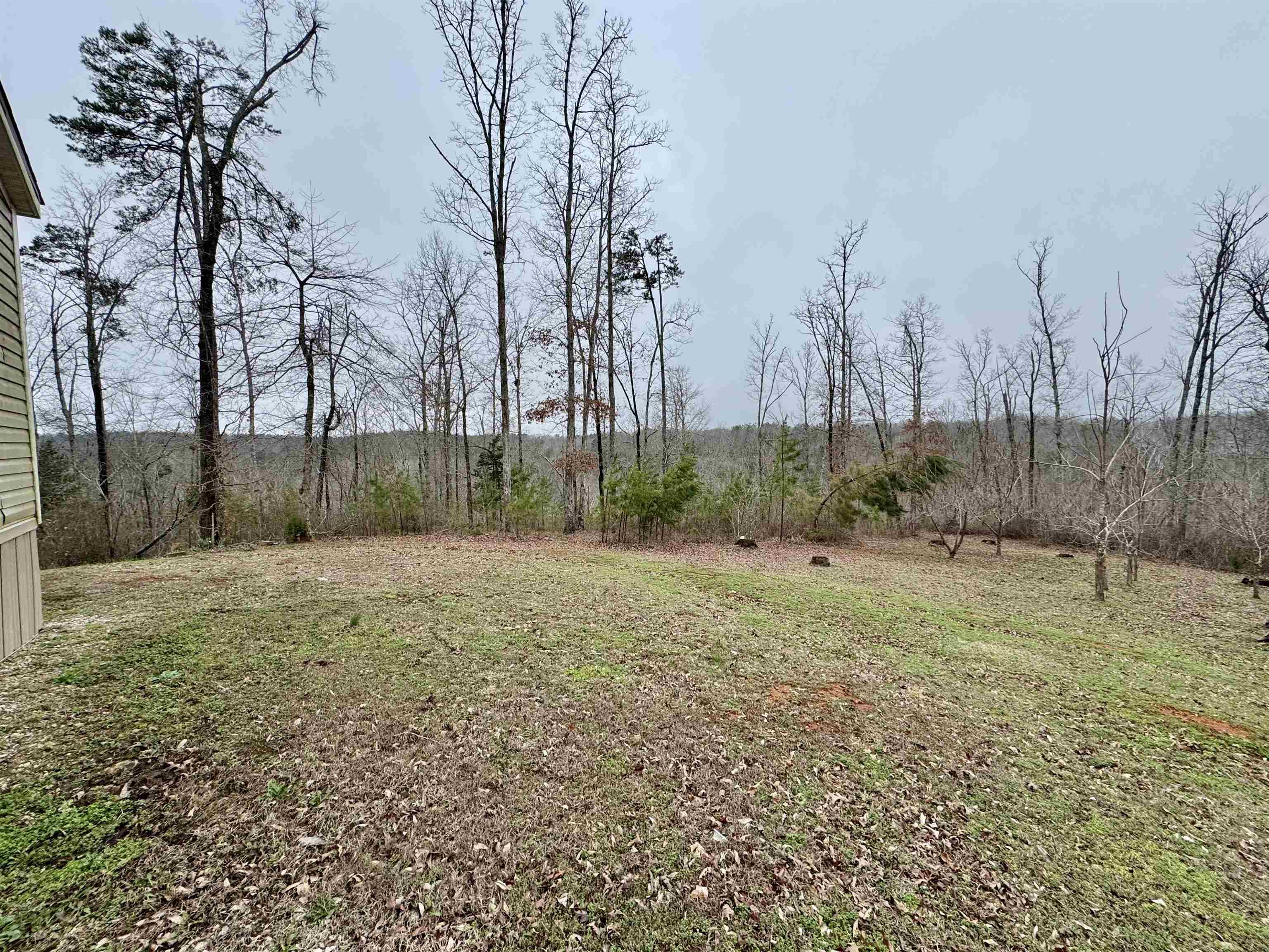 125 Elam Way Property Photo 22