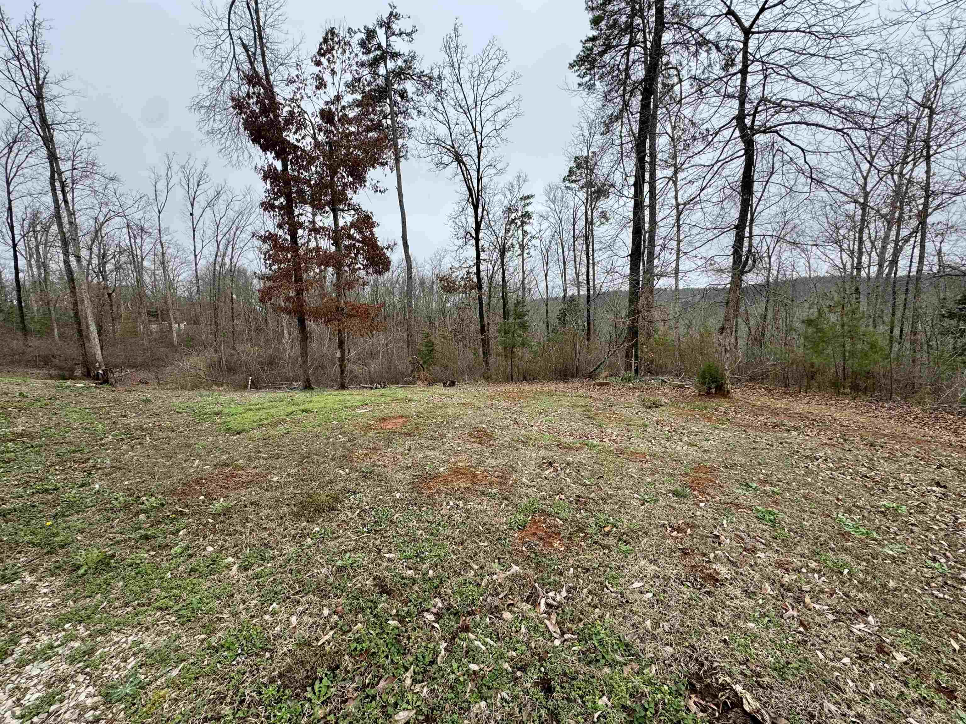 125 Elam Way Property Photo 23